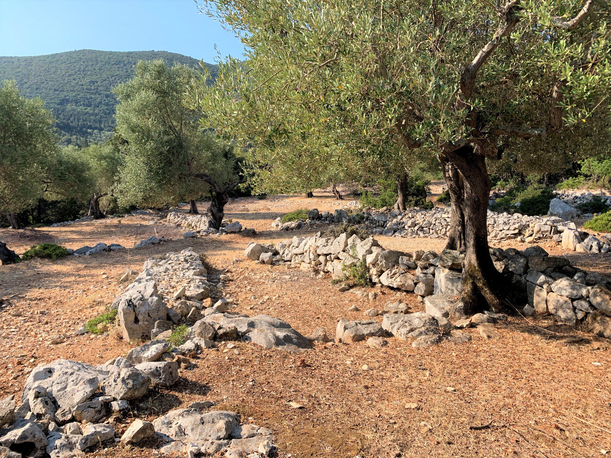 Landscape and terrain of land for sale Ithaca Greece, Stavros