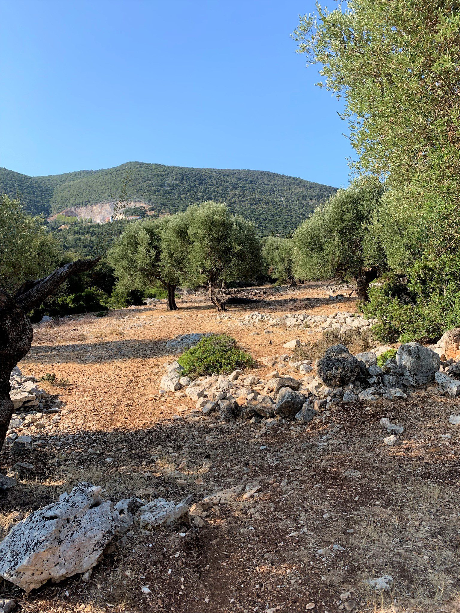 Landscape and terrain of land for sale Ithaca Greece, Stavros