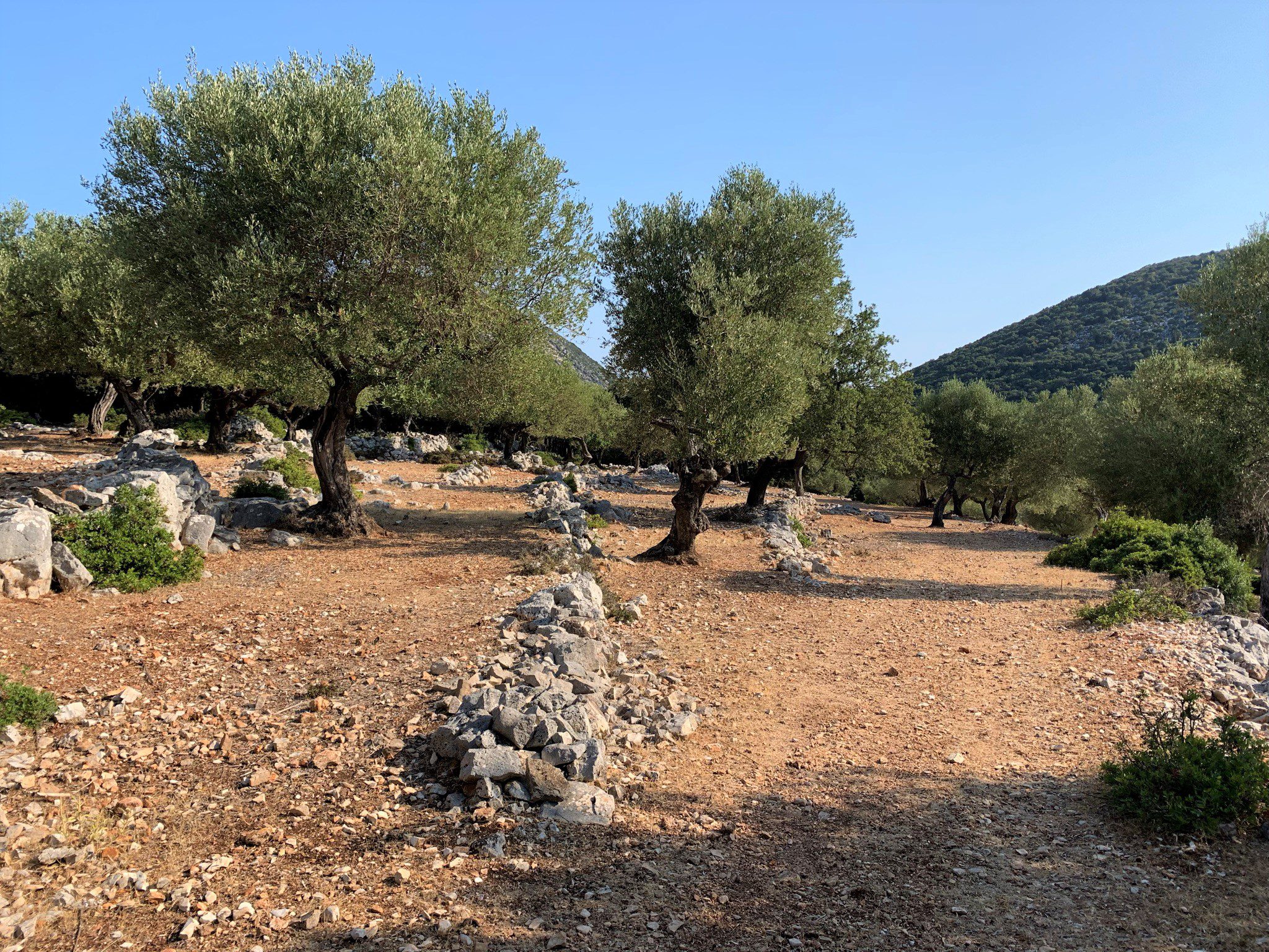 Landscape and terrain of land for sale Ithaca Greece, Stavros