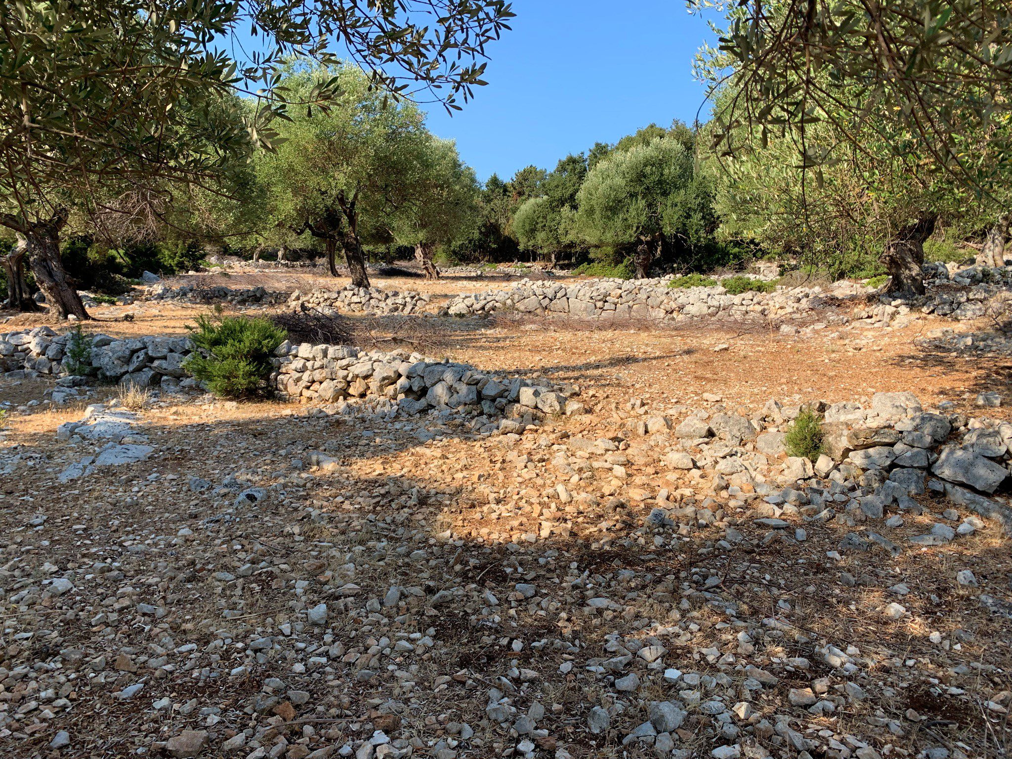 Landscape and terrain of land for sale Ithaca Greece, Stavros