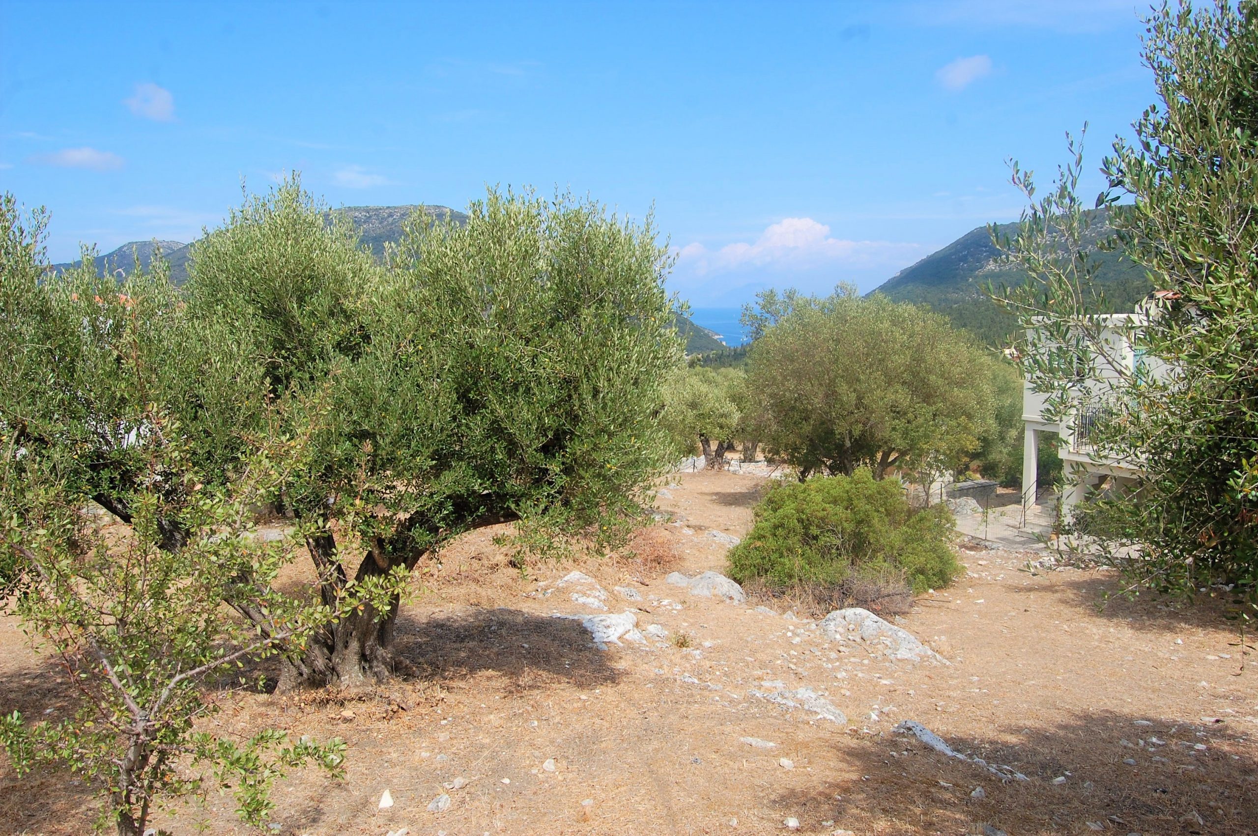 Landscape and terrain of land for sale Ithaca Greece, Stavros