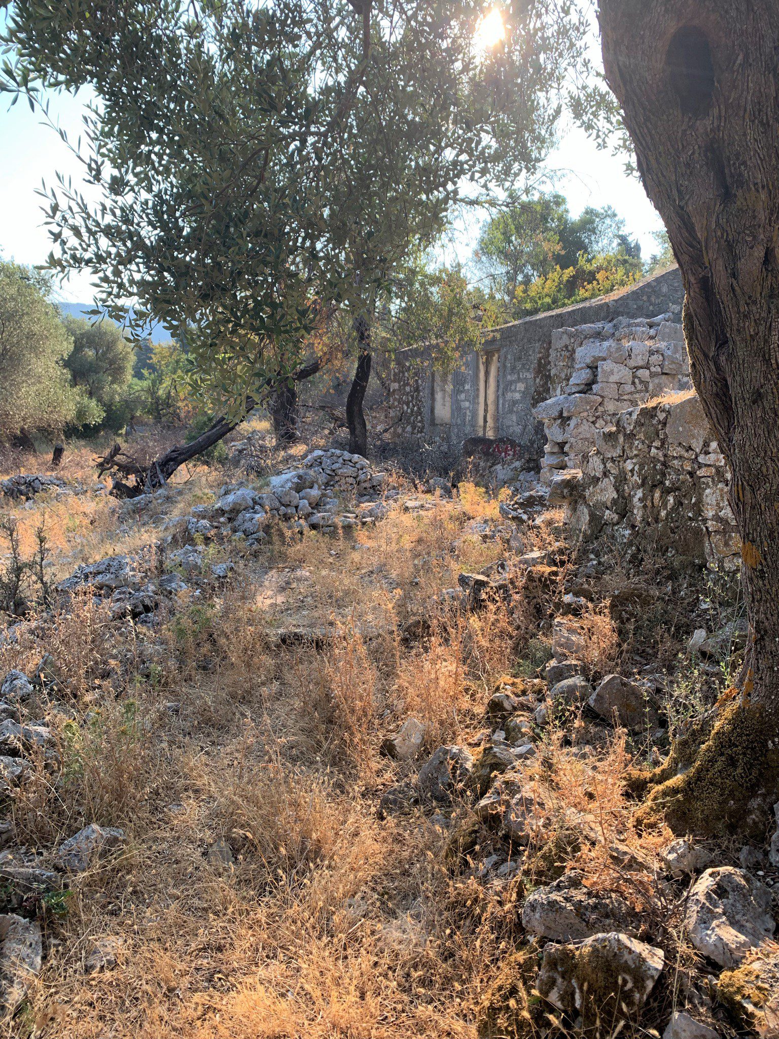 Ruins in land for sale Ithaca Greece, Stavros
