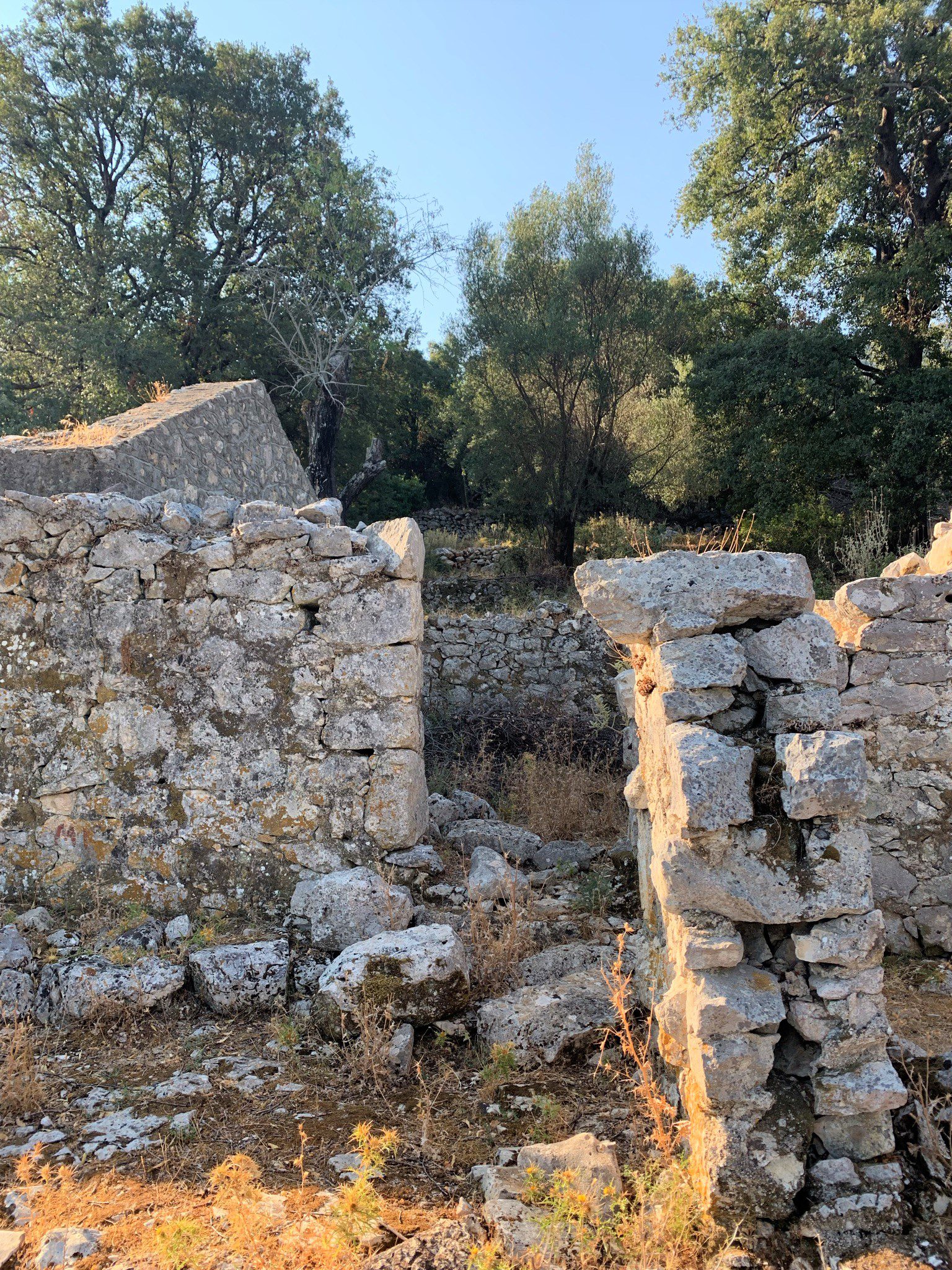 Ruins in land for sale Ithaca Greece, Stavros