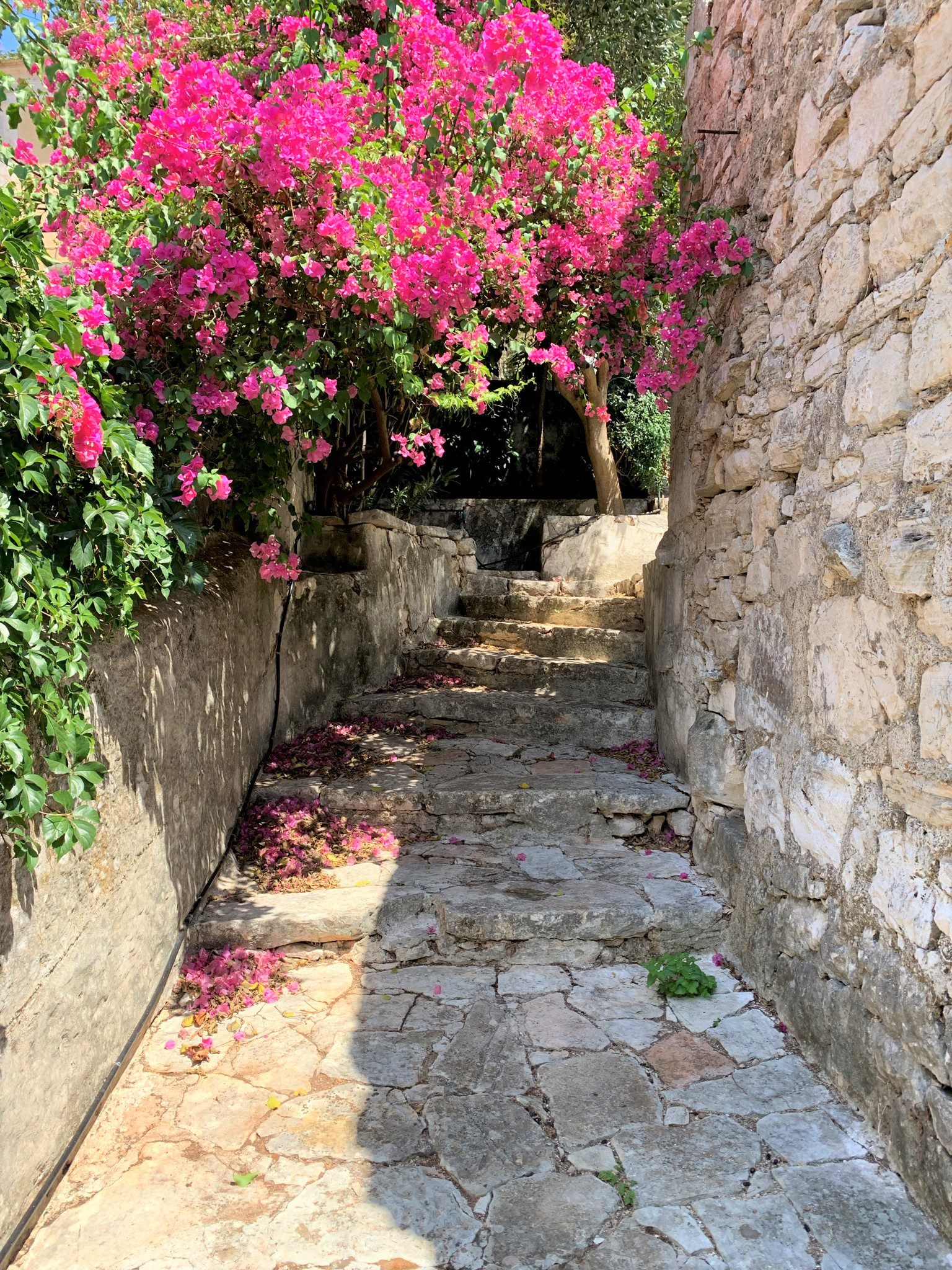 Public footpath to ruin for sale in Ithaca Greece, Vathi