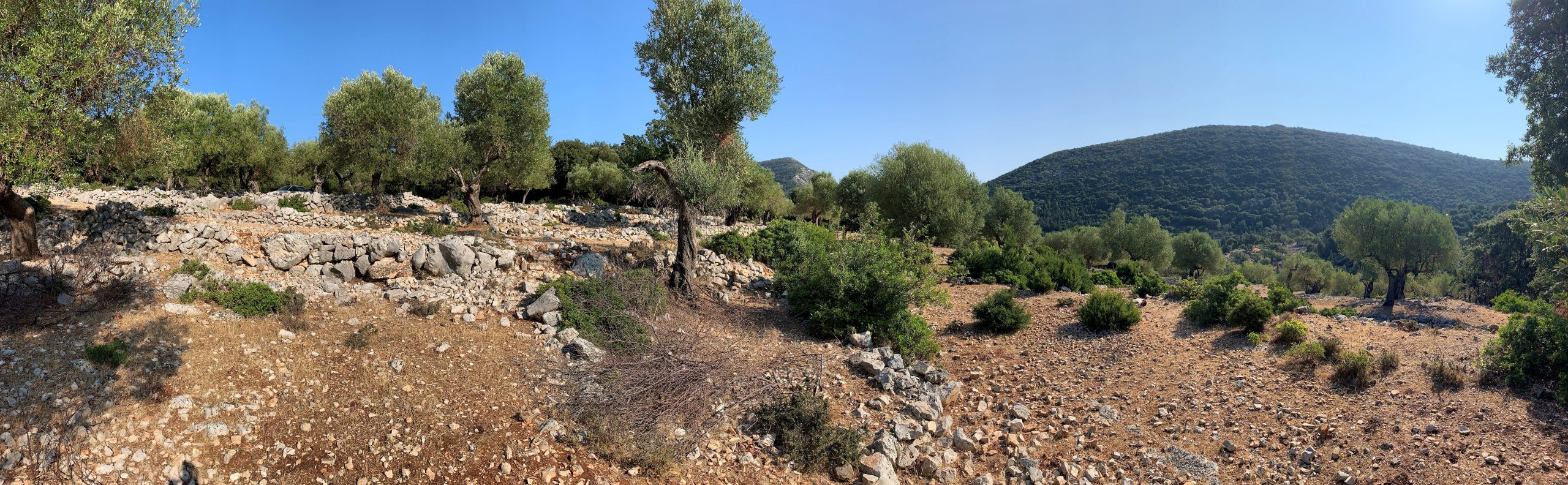 Landscape and terrain of land for sale Ithaca Greece, Stavros