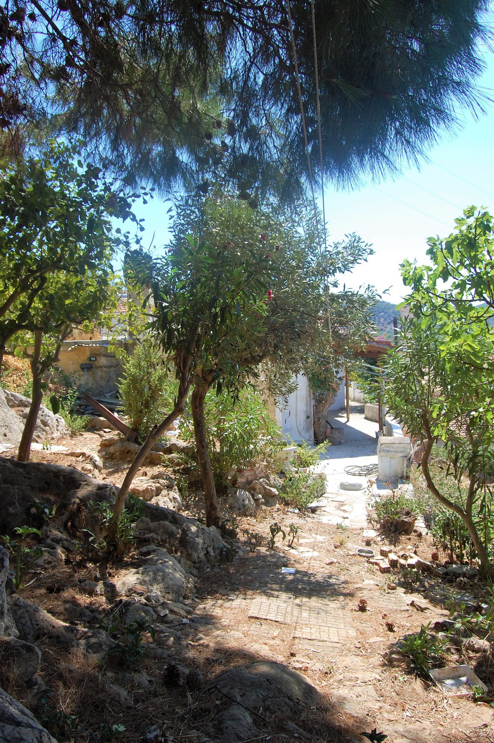 Garden of house for sale Ithaca Greece, Vathi