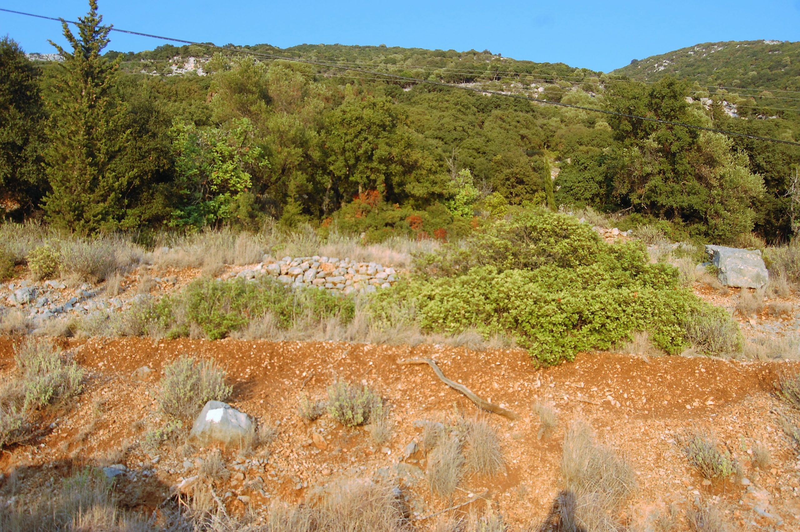 Terrain and landscape of land for sale Ithaca Greece, Lefki