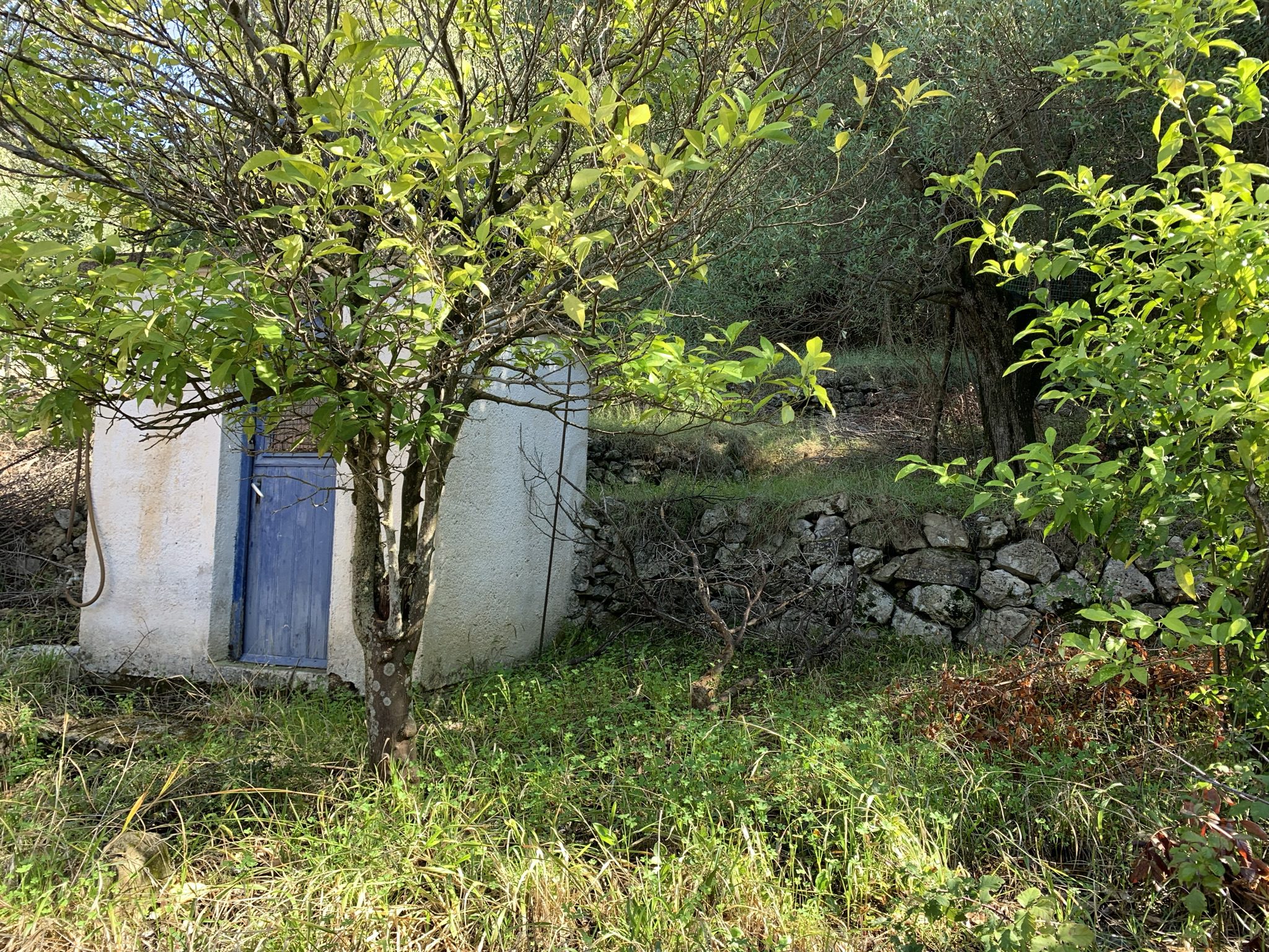Outdoor spaces of house for sale Ithaca Greece, Aetos