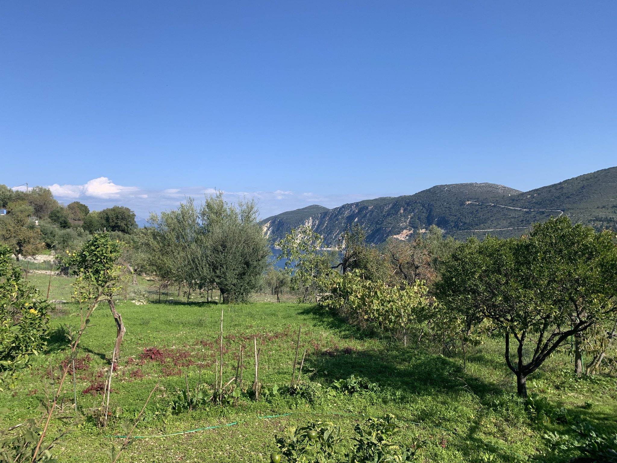 Land for sale in Kolleri Ithaca, Greece IDMV014KOL MV Properties