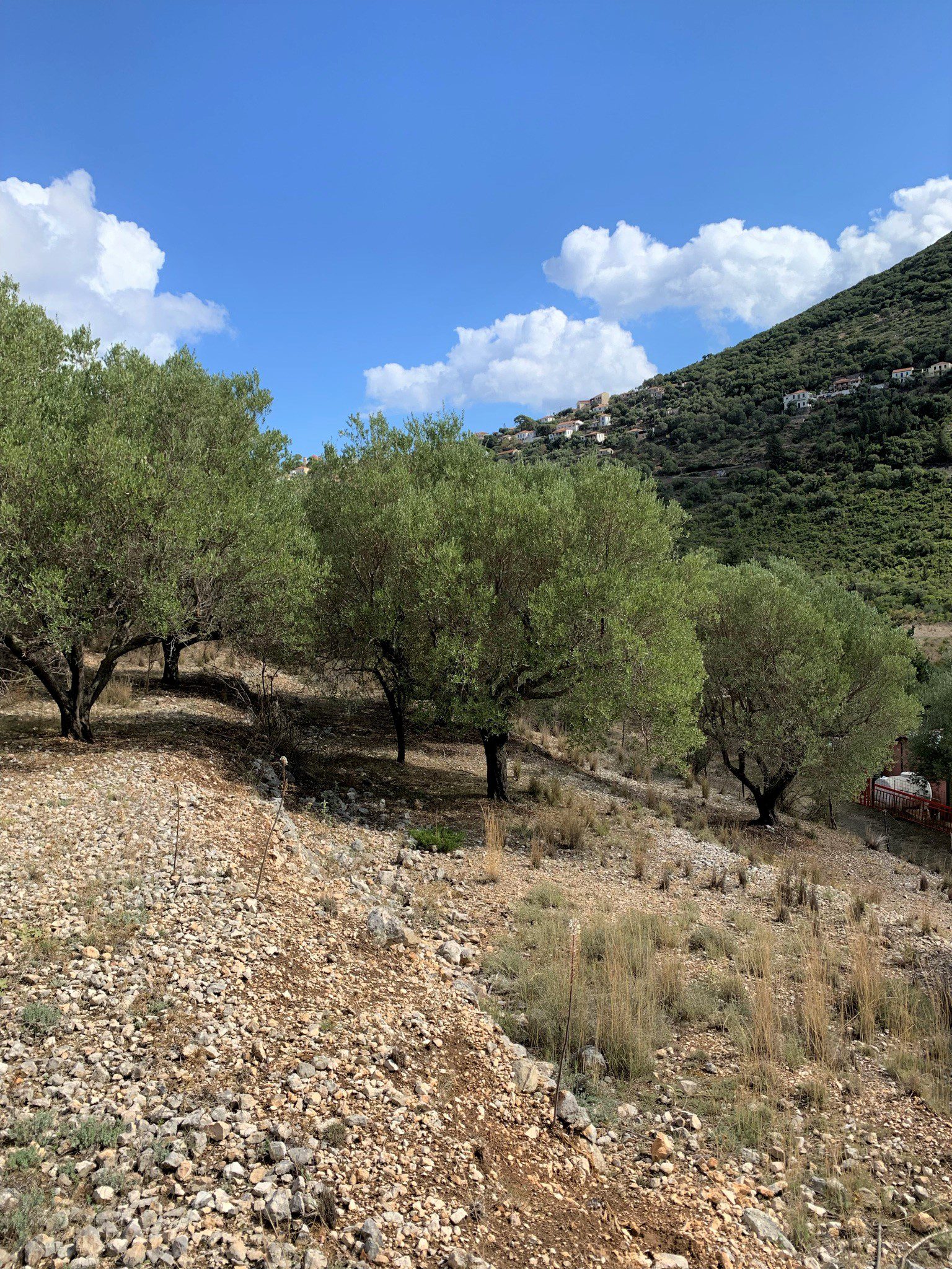 Terrain of land for sale Ithaca Greece, Stavros