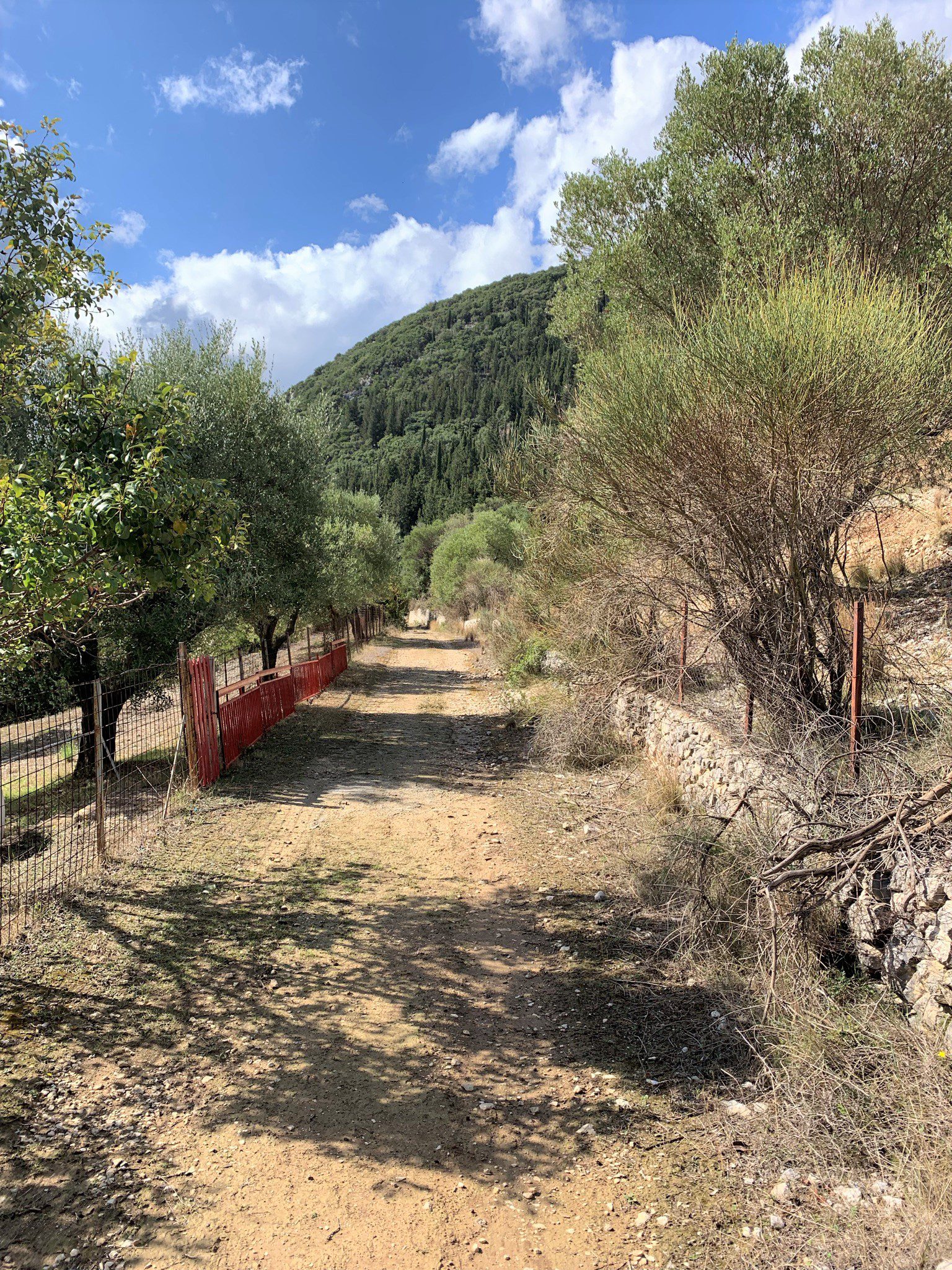 Off road of land for sale Ithaca Greece, Stavros