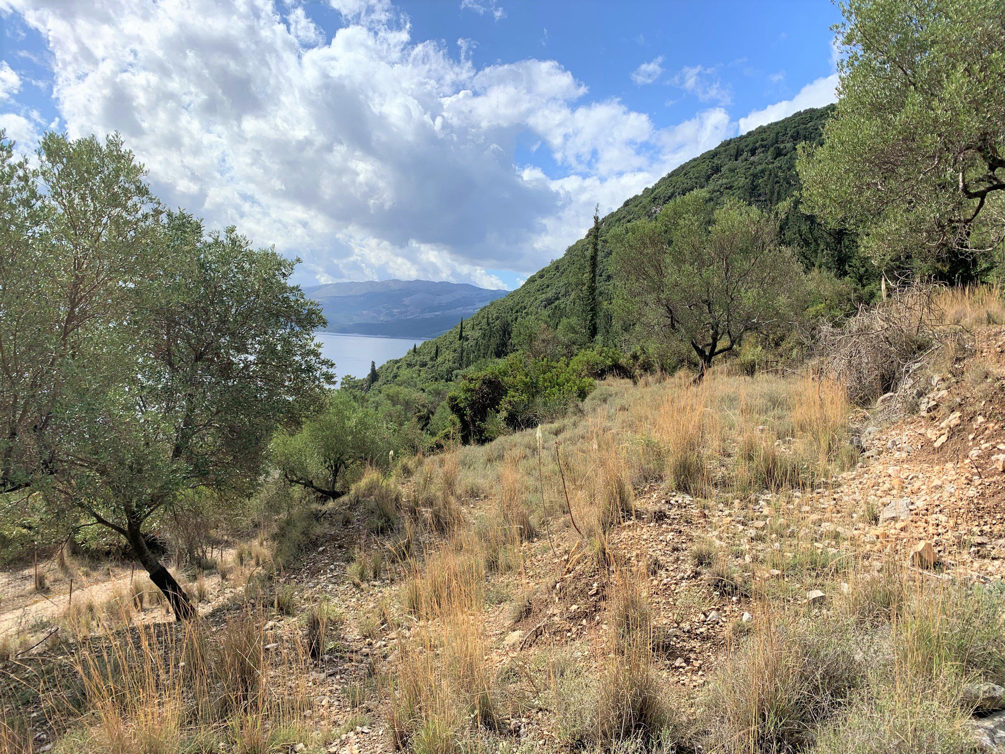 Terrain of land for sale Ithaca Greece, Stavros