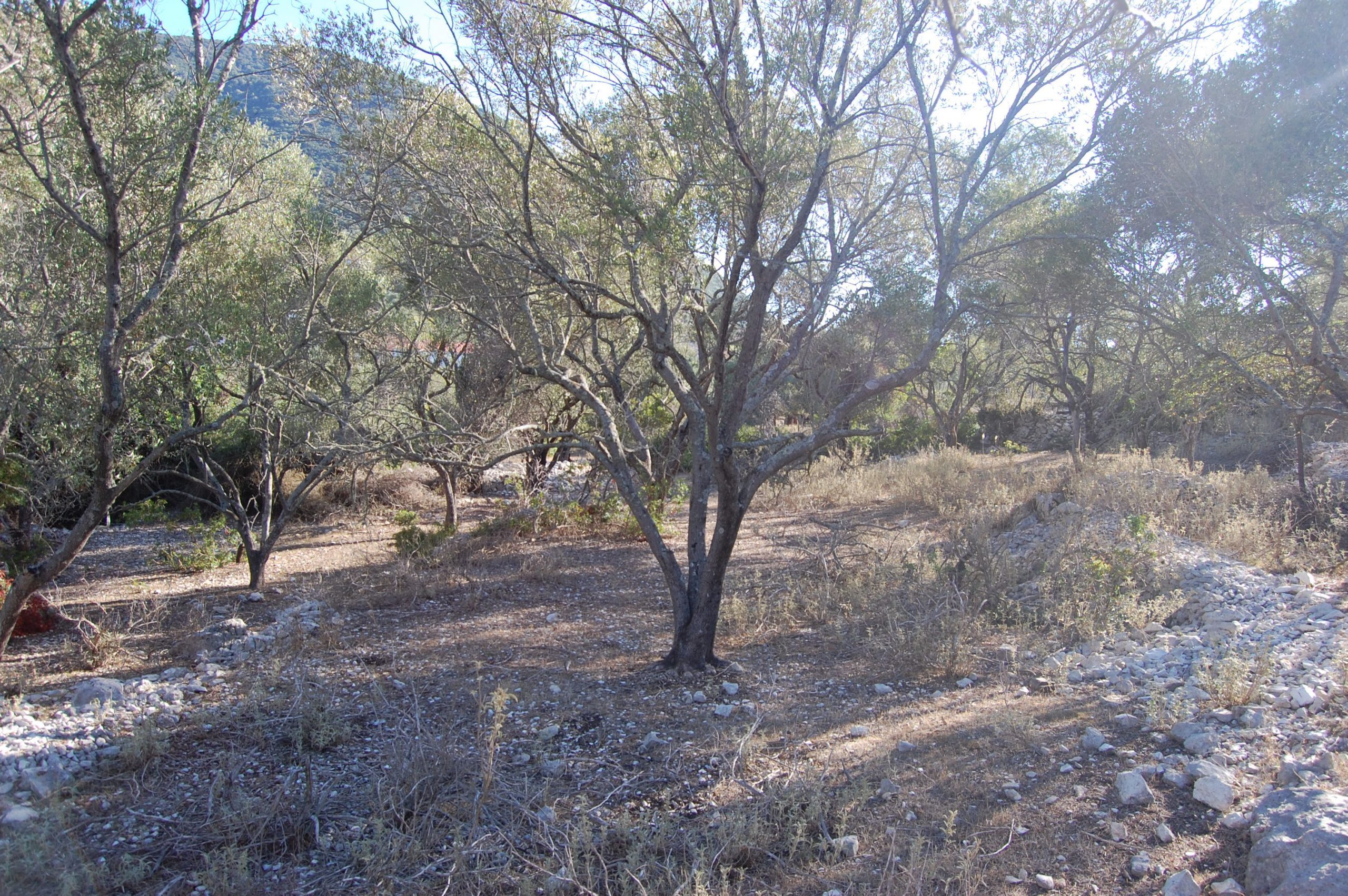 Surrounding land of house for sale Ithaca Greece, Stavros