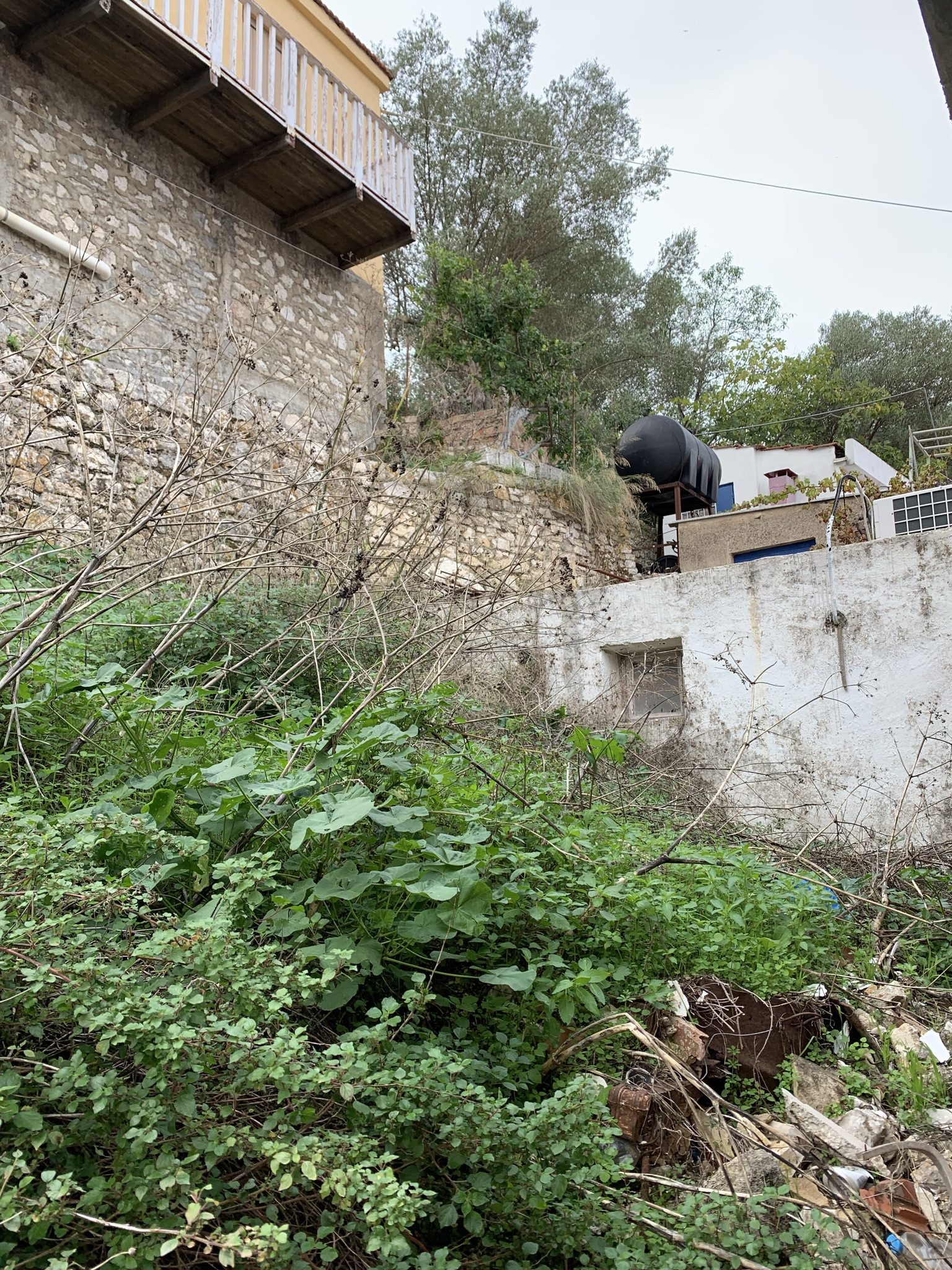 Garden of house for sale on Ithaca Greece, Vathi