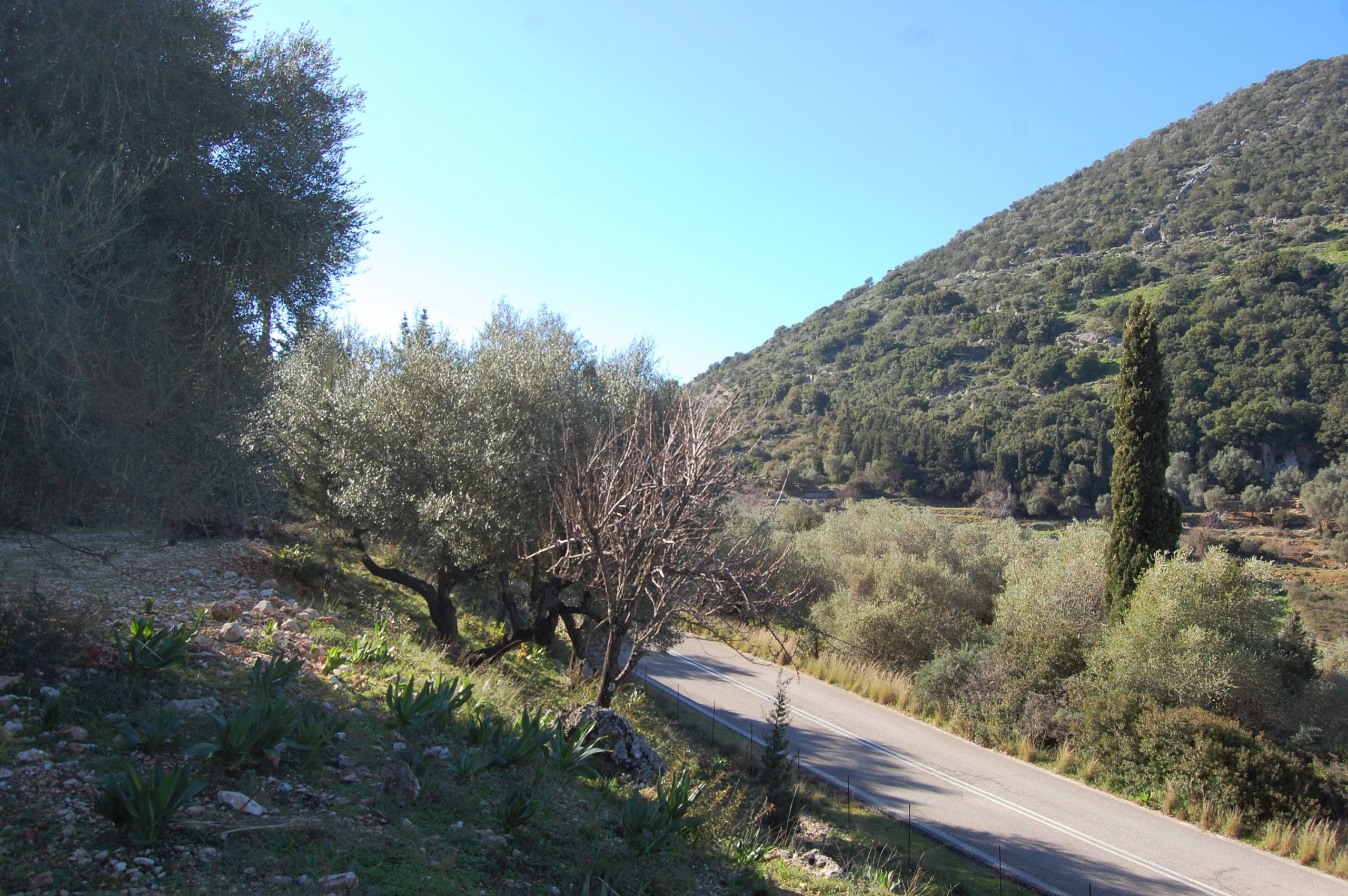 Road to land for sale on Ithaca Greece, Piso Aetos