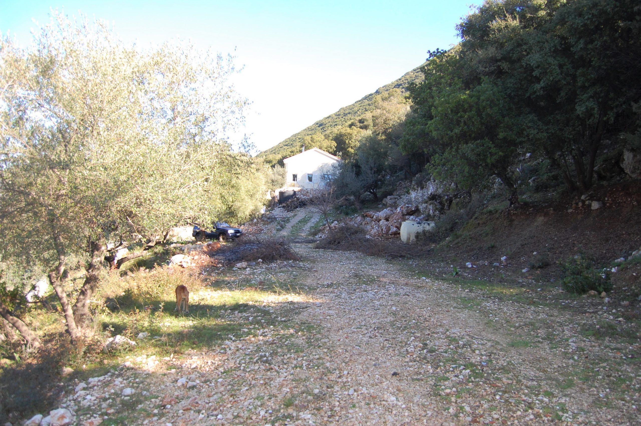Landscape and terrain of land for sale on Ithaca Greece, Piso Aetos