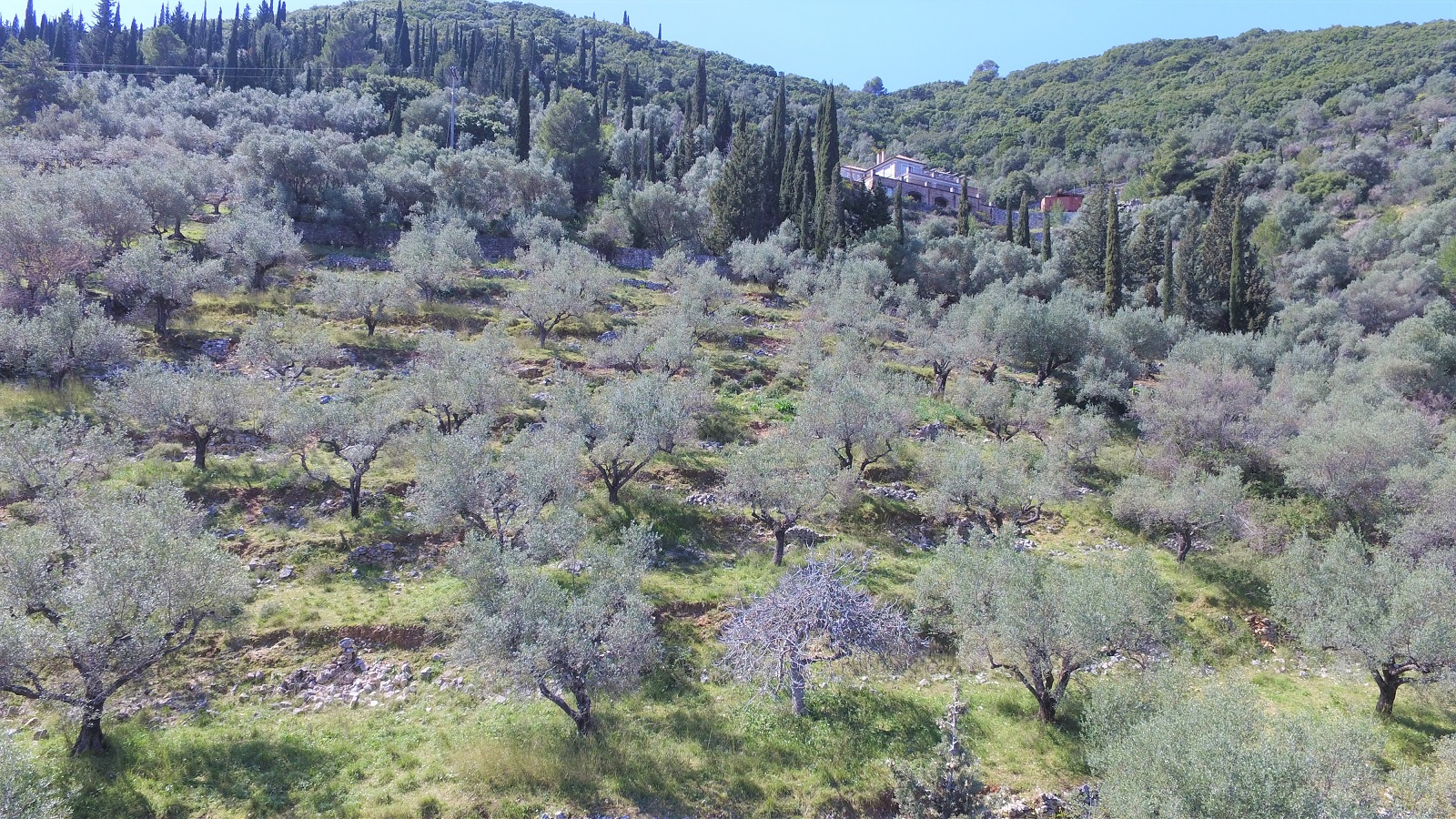 Aerial views of land for sale Ithaca Greece, Vathi