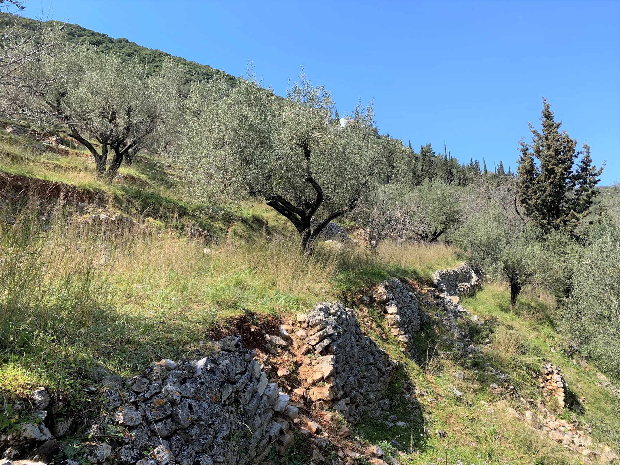 Landscape and terrain for sale Ithaca Greece, Vathi