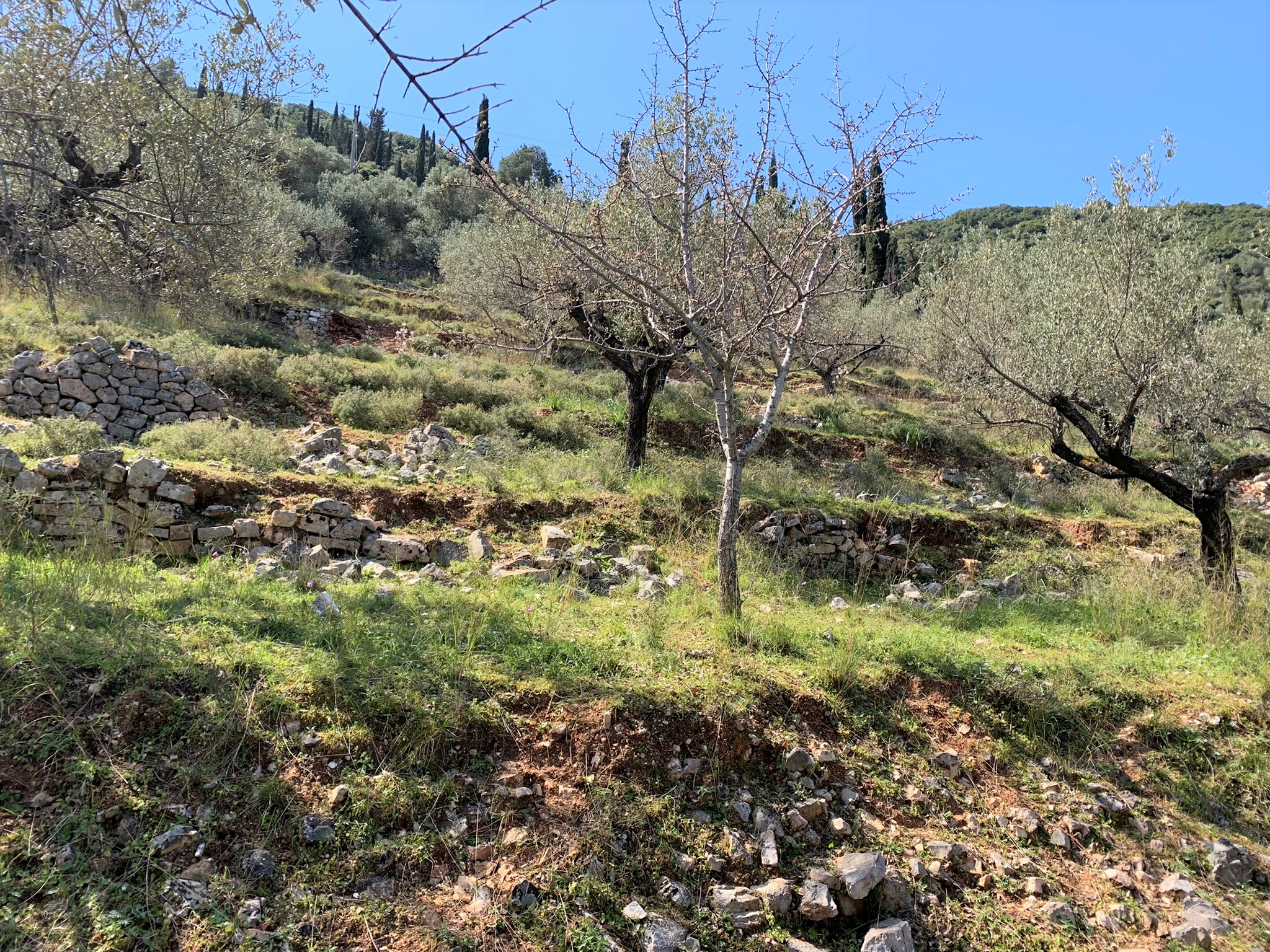 Landscape and terrain of sale Ithaca Greece, Vathi