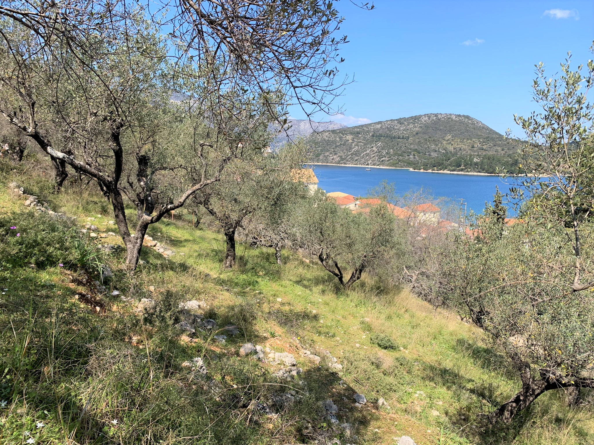 Landscape and terrain of land for sale Ithaca Greece, Vathi