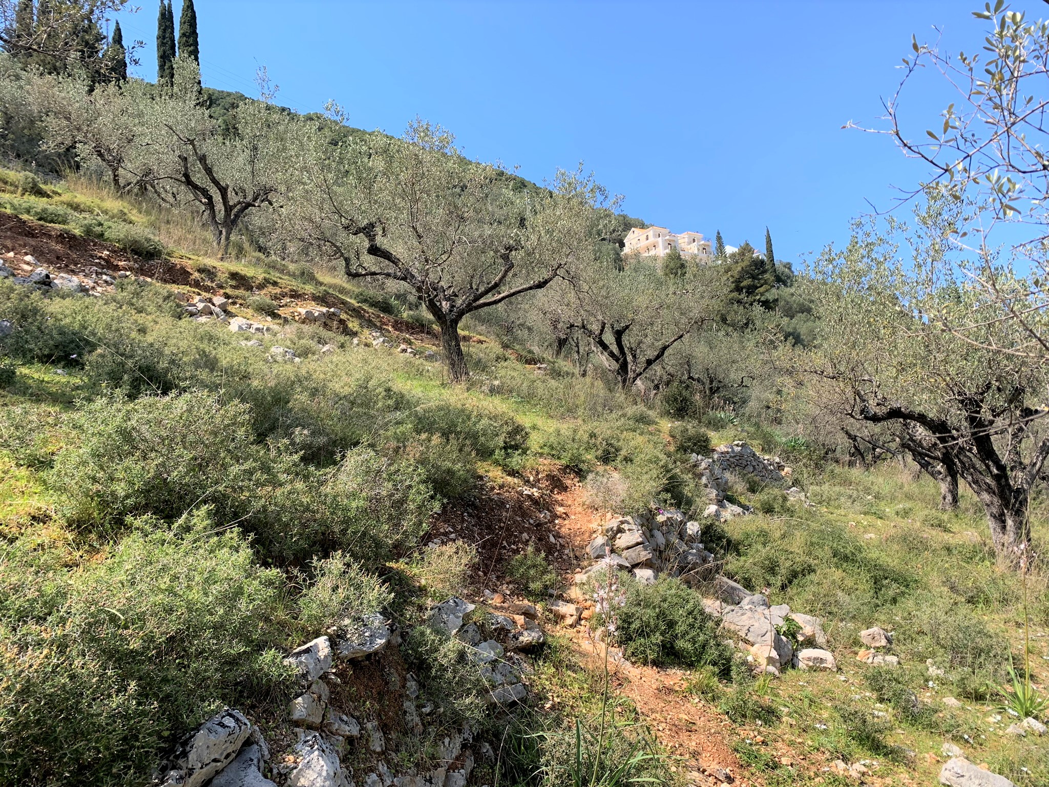 Terrain and landscape of land for sale Ithaca Greece, Vathi