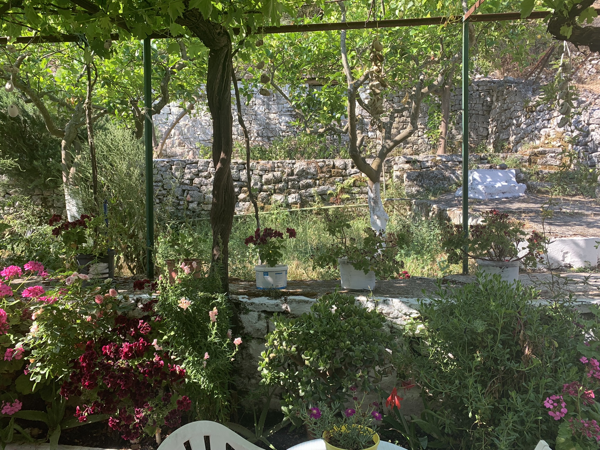 Outdoor space of house for sale on Ithaca Greece, Perachori