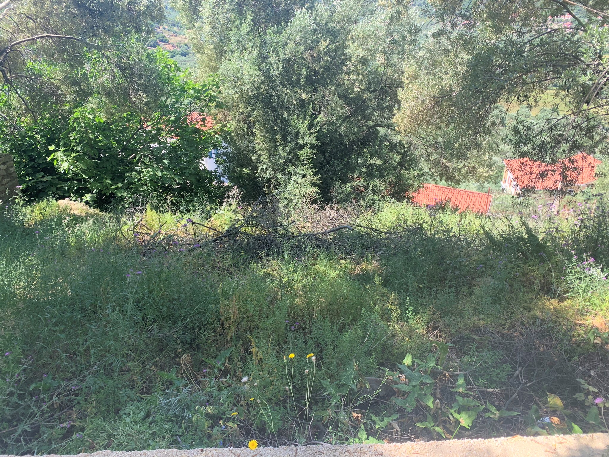Landscape and terrain of land for sale on Ithaca Greece, Vathi
