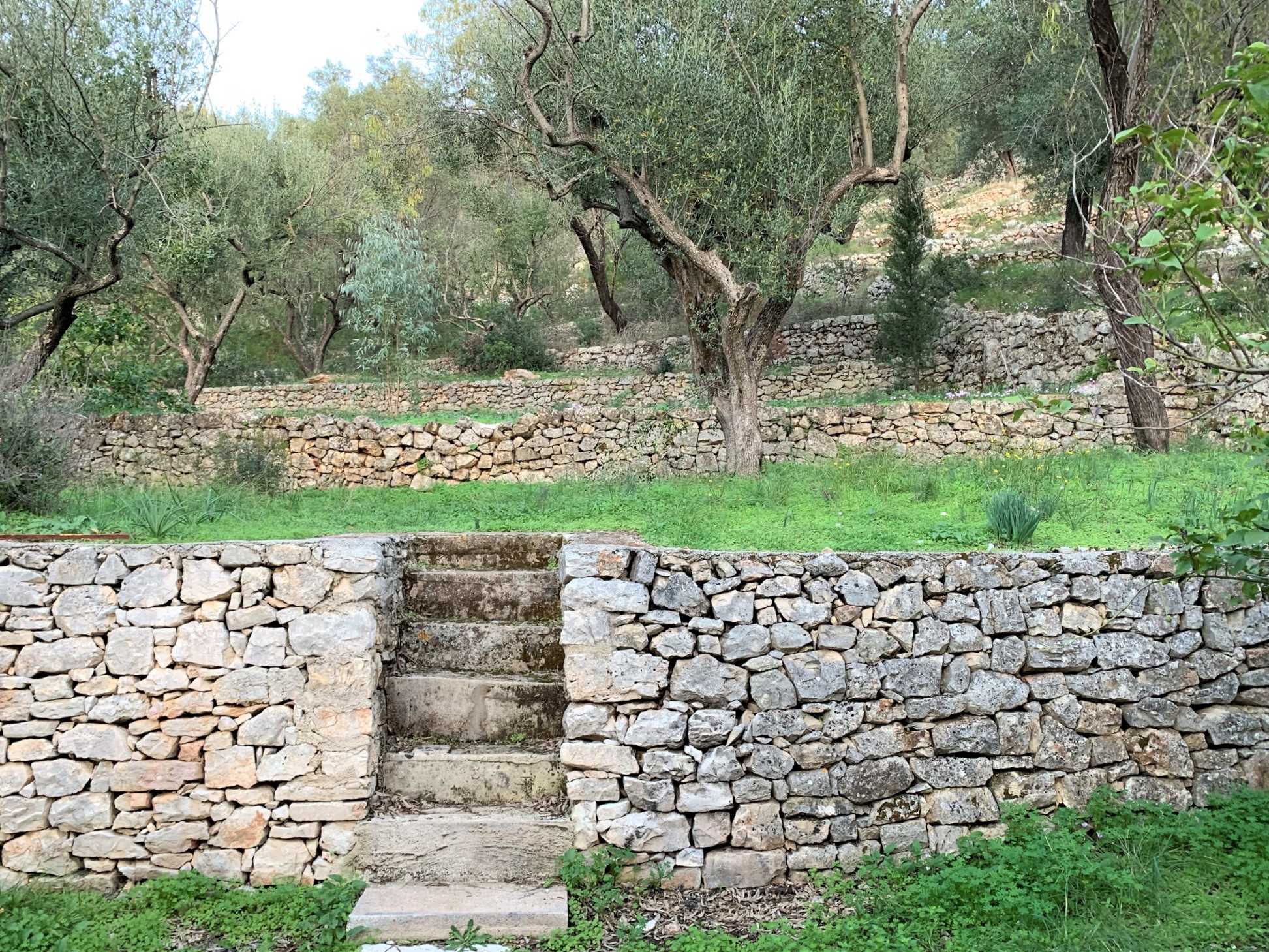 Surrounding land of house for sale on Ithaca Greece, Vathi