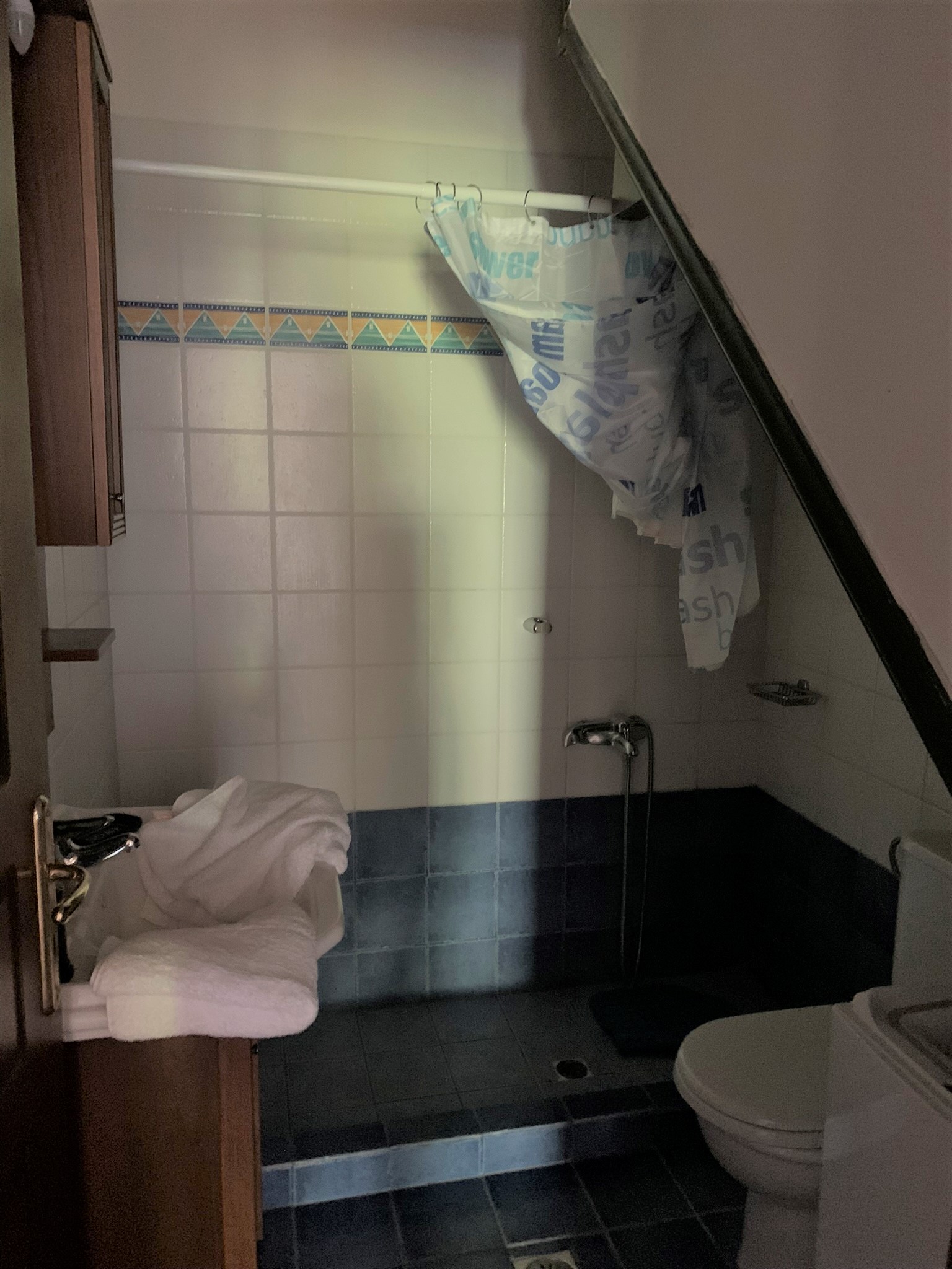 Bathroom of house for sale on Ithaca Greece, Platrithias