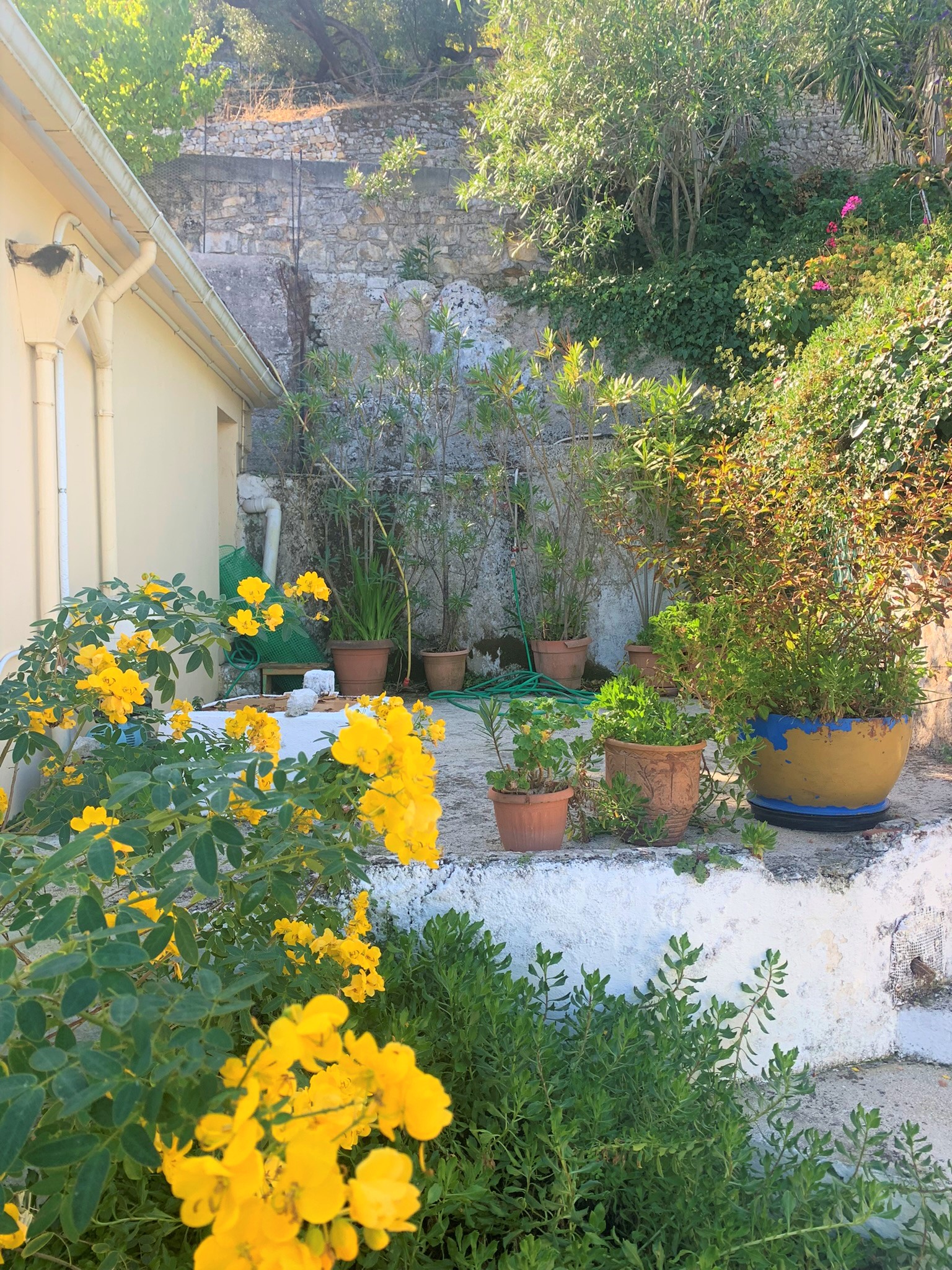 Garden area of house for sale on Ithaca Greece, Perachori