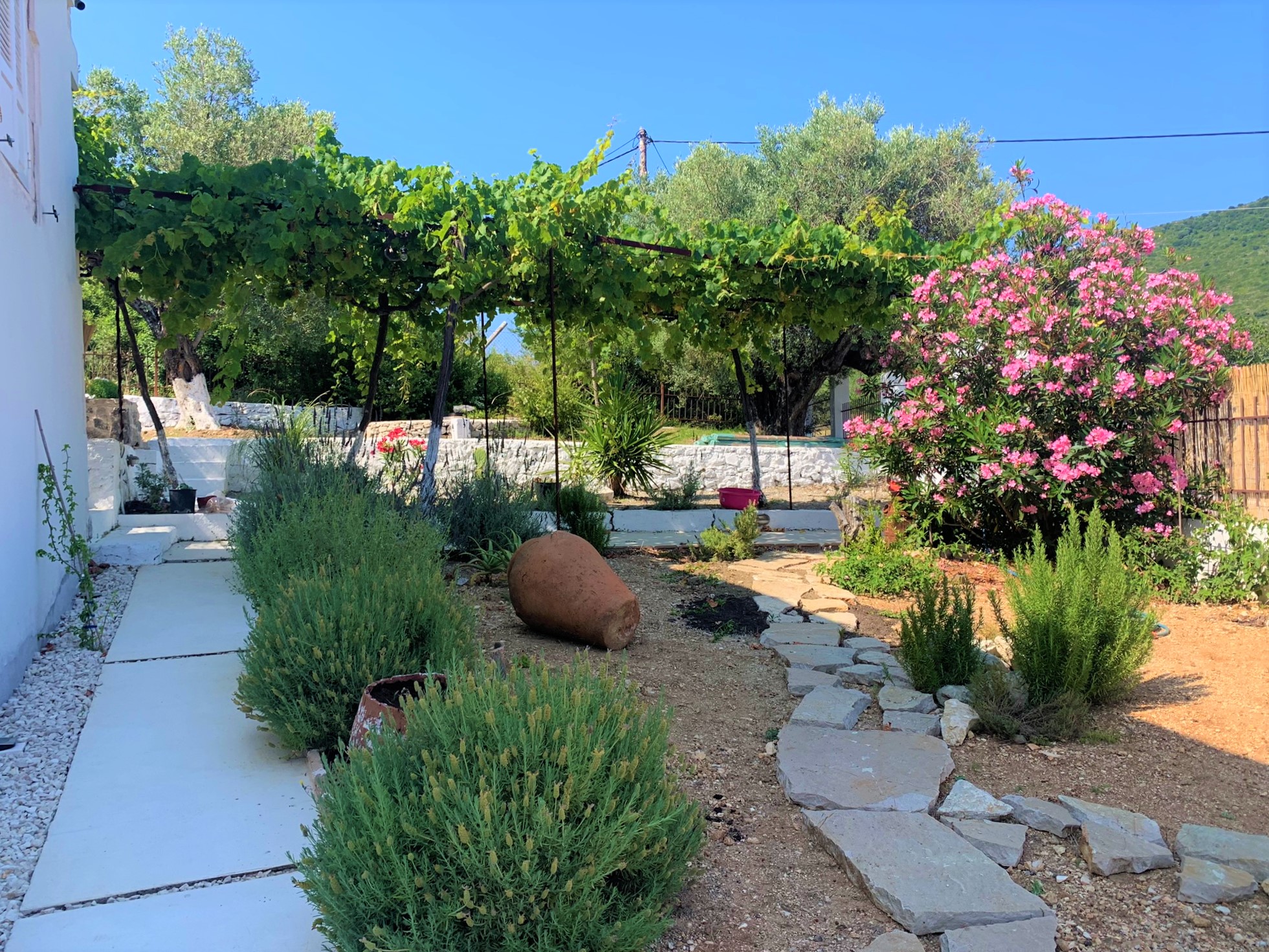 Garden area of villa for rent on Ithaca Greece, Lahos