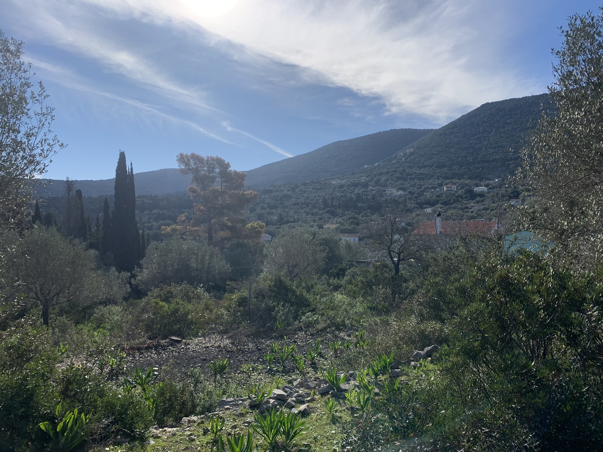 Landscape and terrain of land for sale on Ithaca Greece, Stavros
