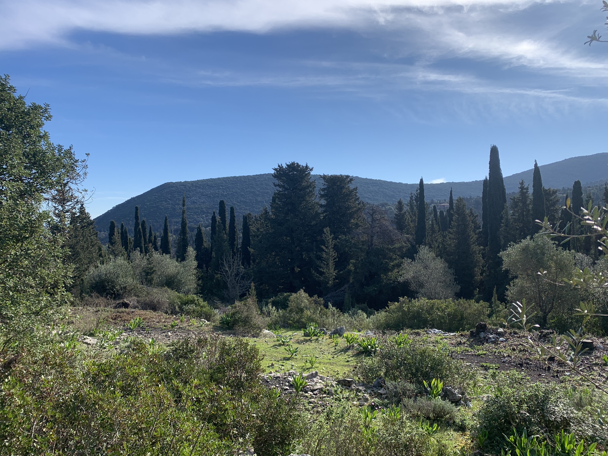 Landscape and terrain of land for sale on Ithaca Greece, Stavros
