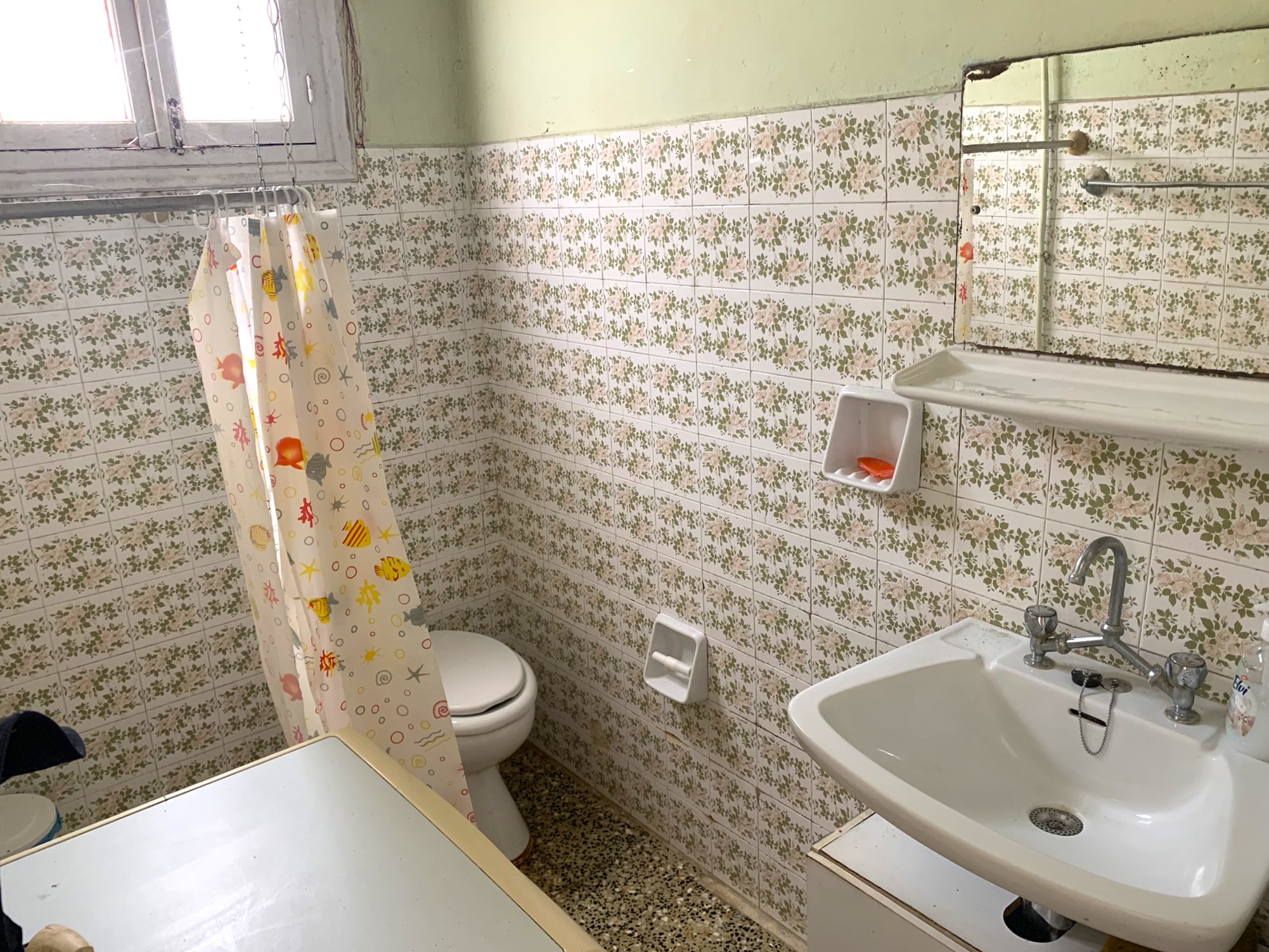 Bathroom of house for sale on Ithaca Greece, Frikes