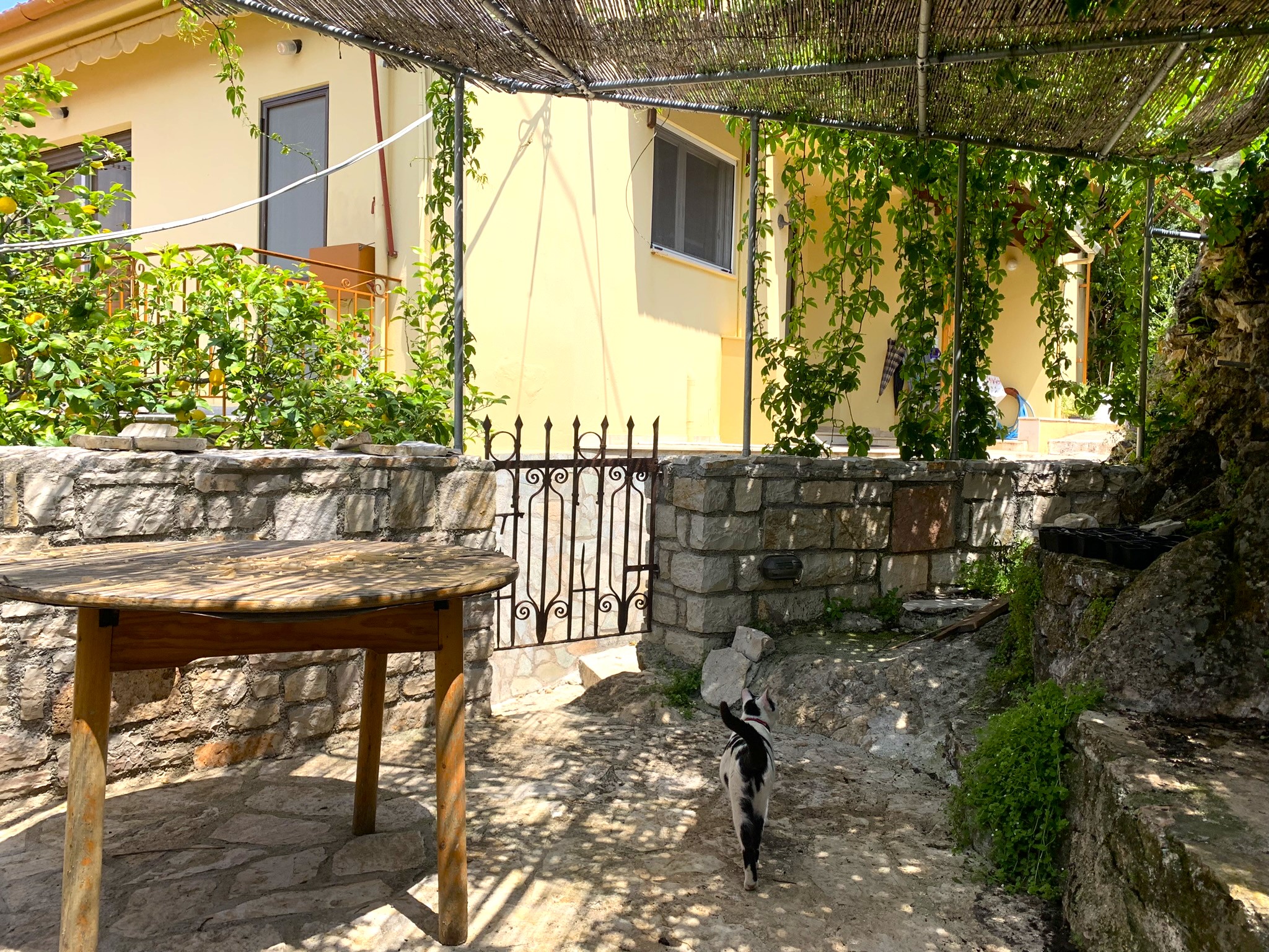 Outdoor area of house for sale on Ithaca Greece, Vathi