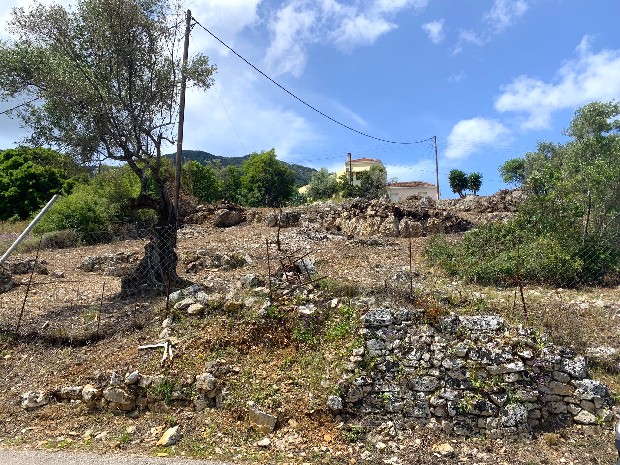 Τοπίο και έδαφος γης προς πώληση στην Ιθάκα, Βαθύ