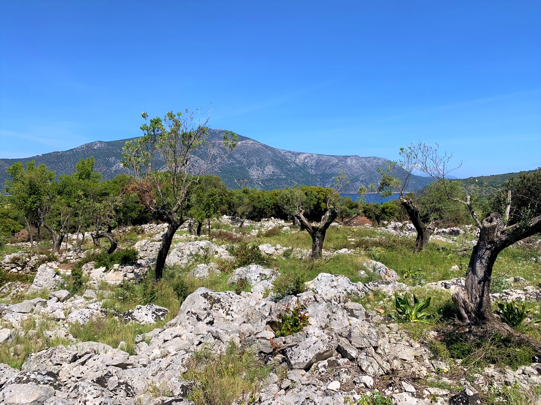 Έδαφος και τοπίο γης προς πώληση στην Ιθάκα Ελλάδα, Βαθύ