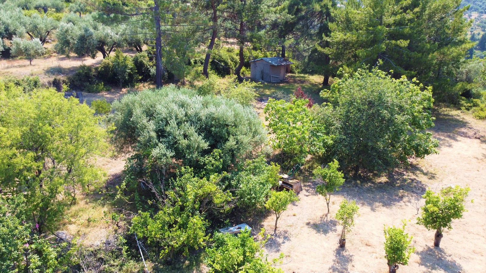 Drone pics of Surrounding land of house for sale on Ithaca Greece, Ag saranta