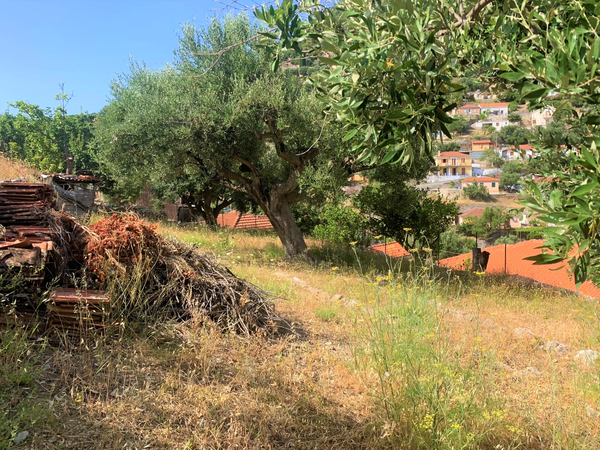 Land of house for sale on Ithaca Greece, Perachori