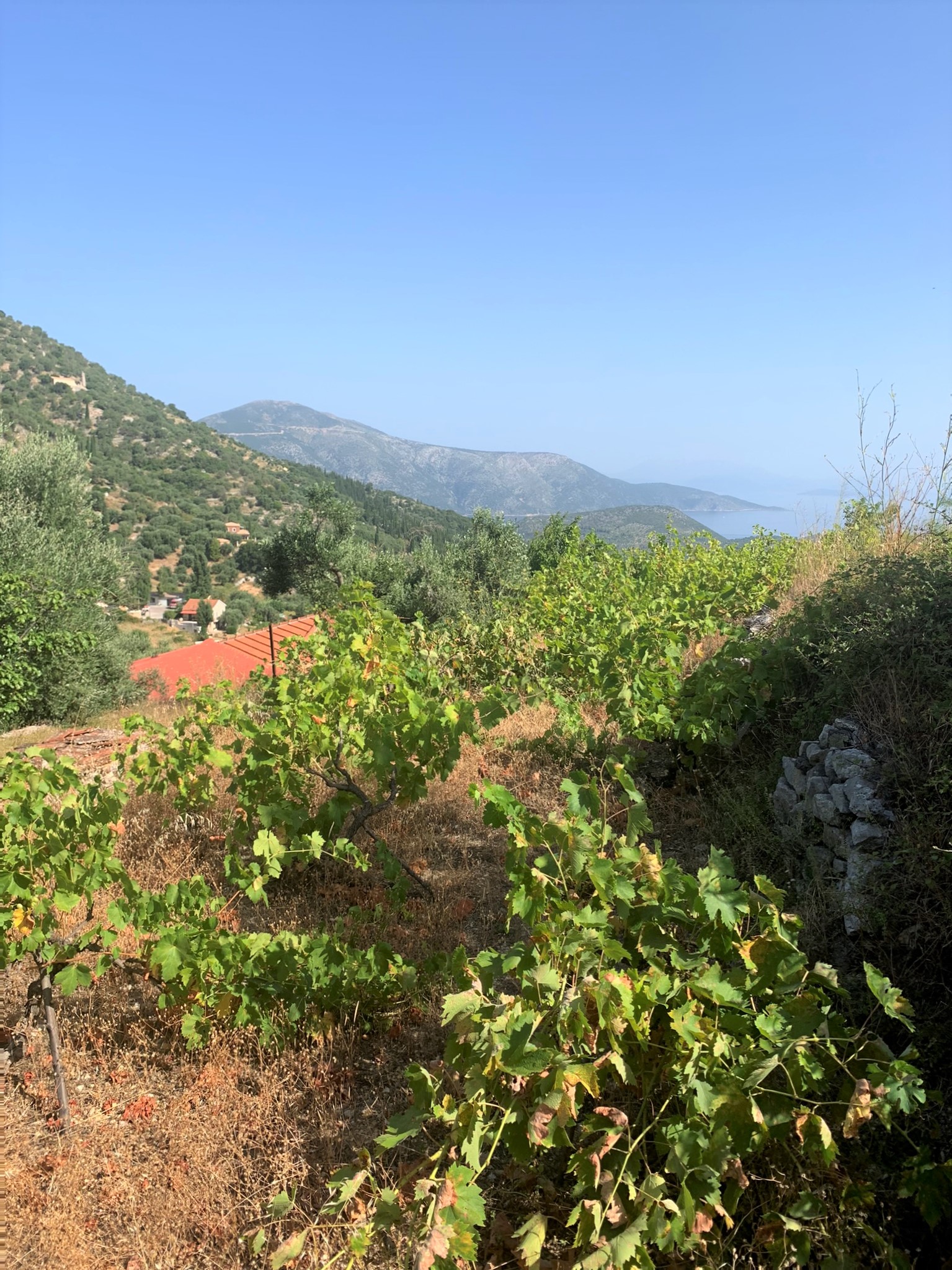 Landscape and terrain of land for sale on Ithaca Greece, Perachori