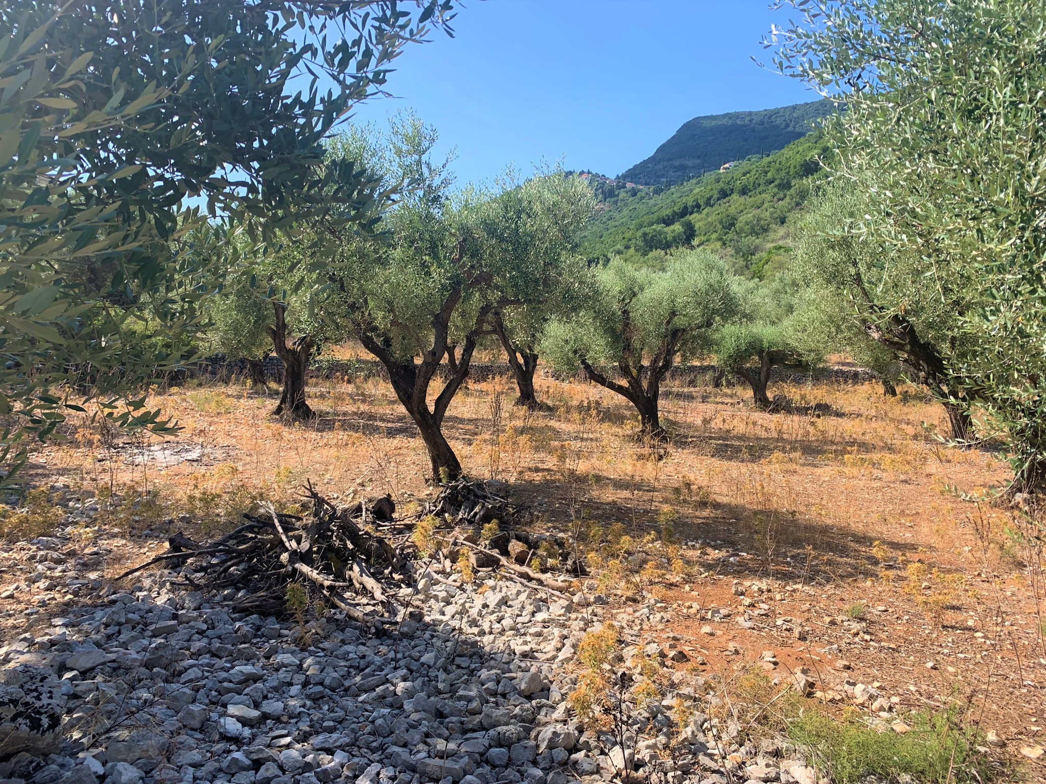 Views of land for sale on Ithaca, Greece, Vathi