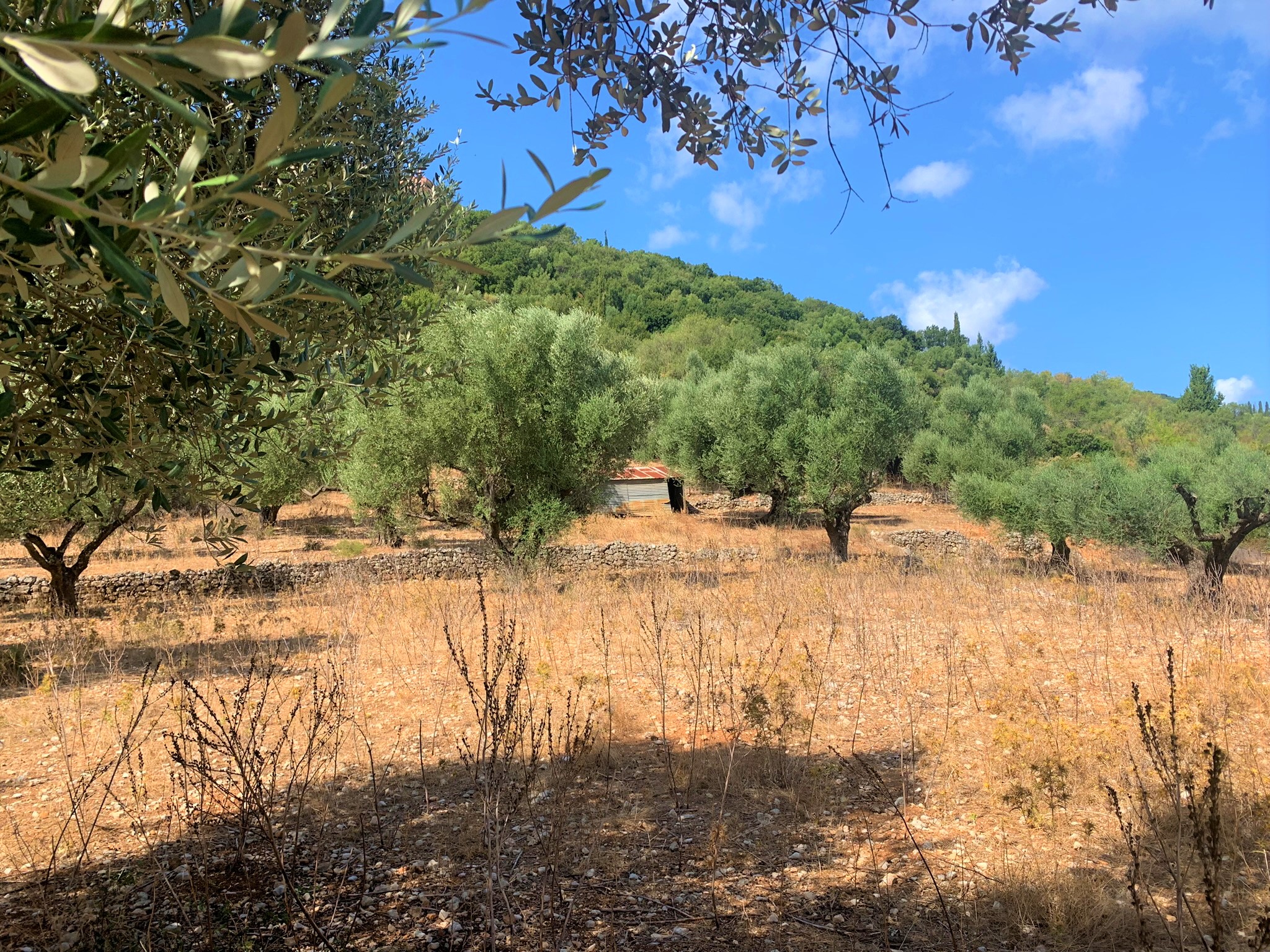 Views of land for sale on Ithaca, Greece, Vathi