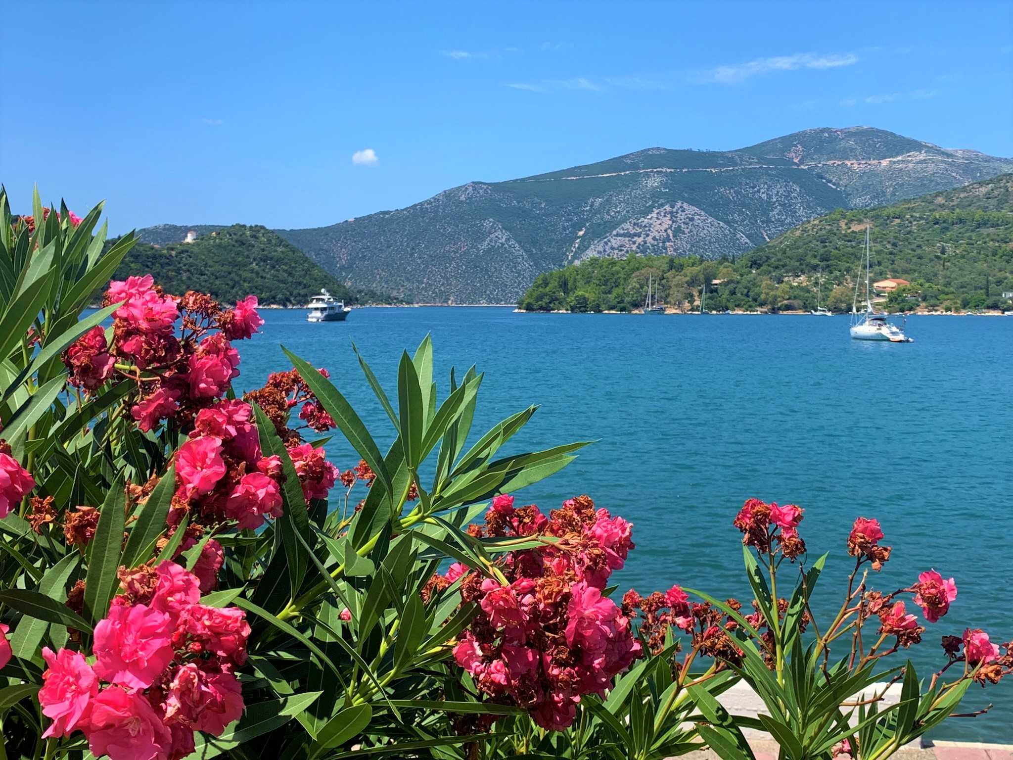 Views from hotel for sale on Ithaca Greece, Vathi