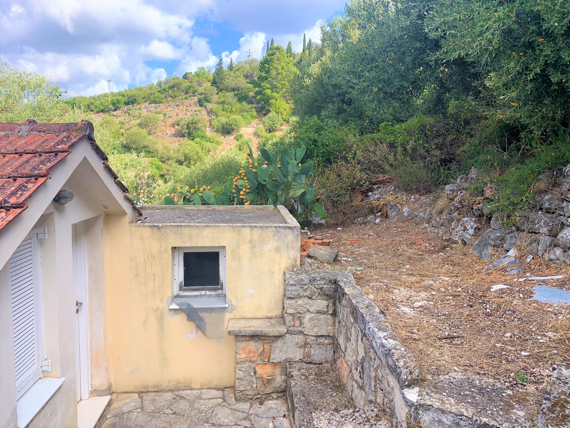 Surrounding land of house for sale on Ithaca, Greece, Vathi