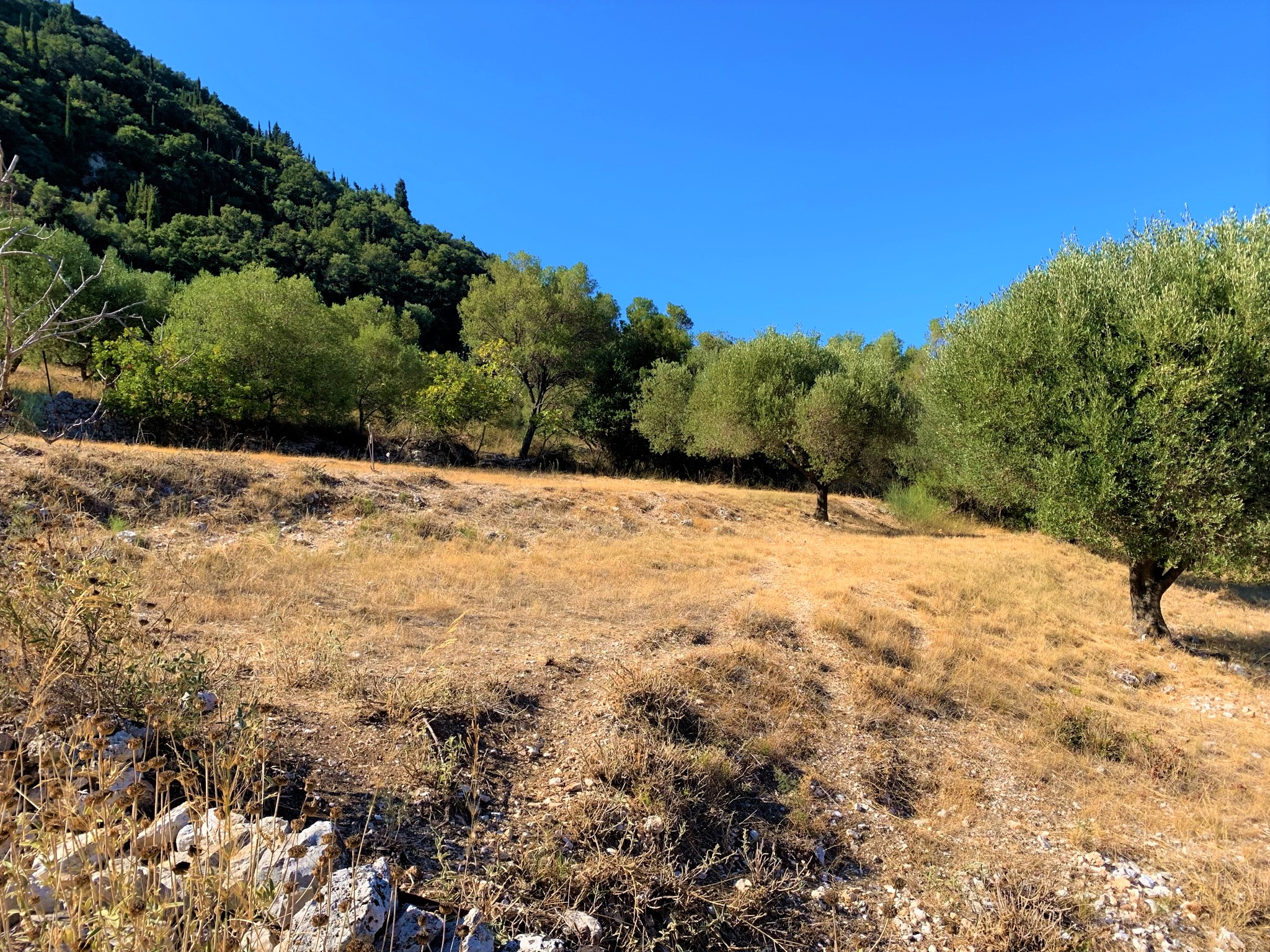 Terrain of land with building license for sale on Ithaca Greece, Kolleri