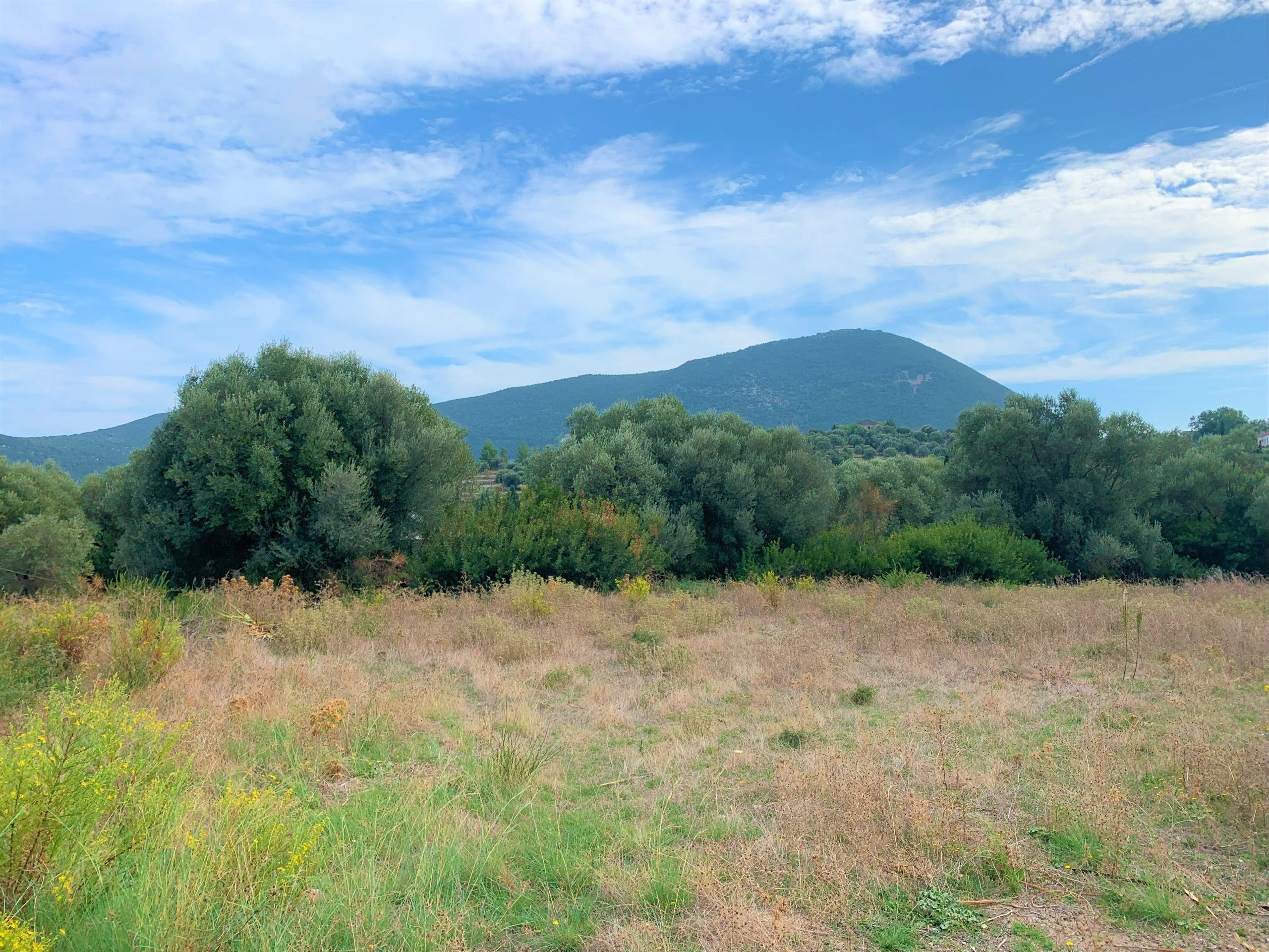 Landscape and terrain of land for sale on Ithaca, Greece, Platrithias