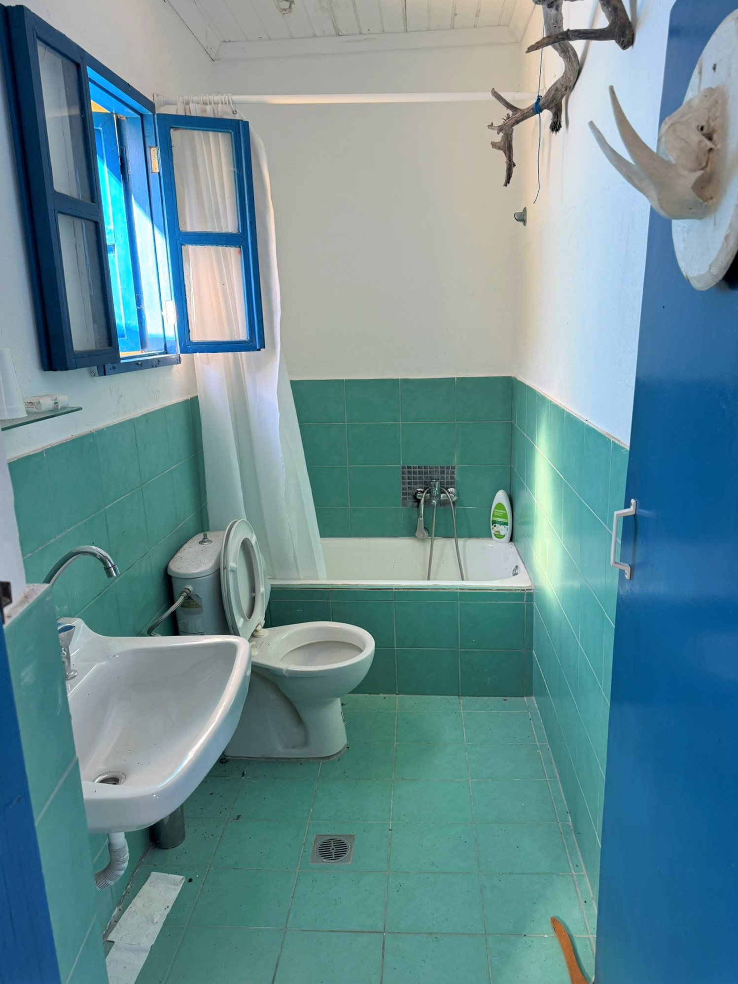Bathroom of house for sale in Ithaca Greece, Vathi