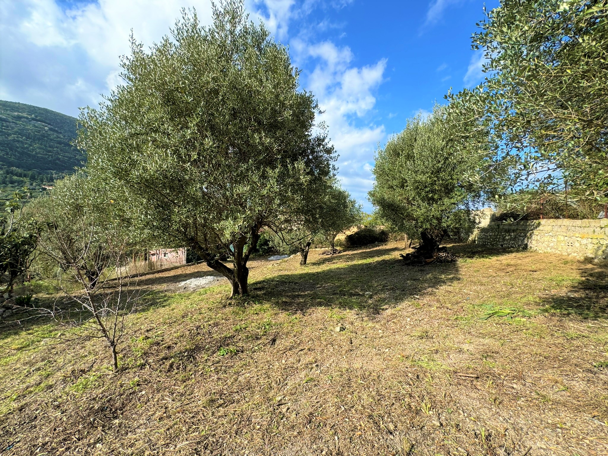 House for sale in Platrithya, Ithaca Greece IDMV016PLA MV Properties