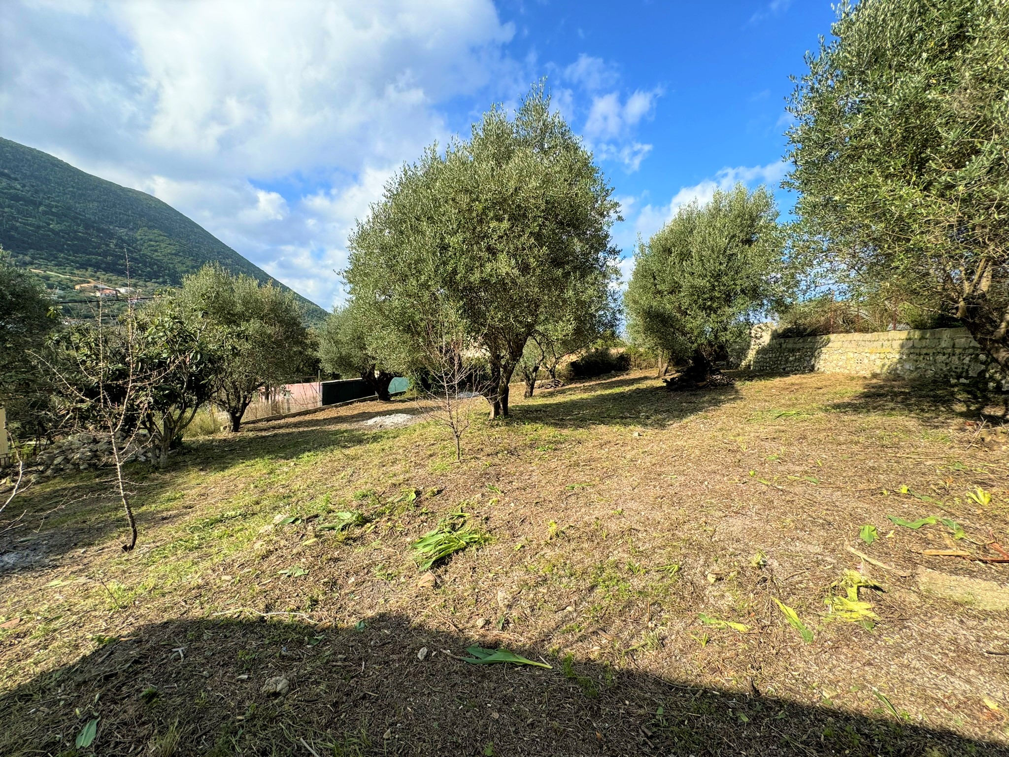 Views from garden of house for sale in Ithaca Greece, Platrithya