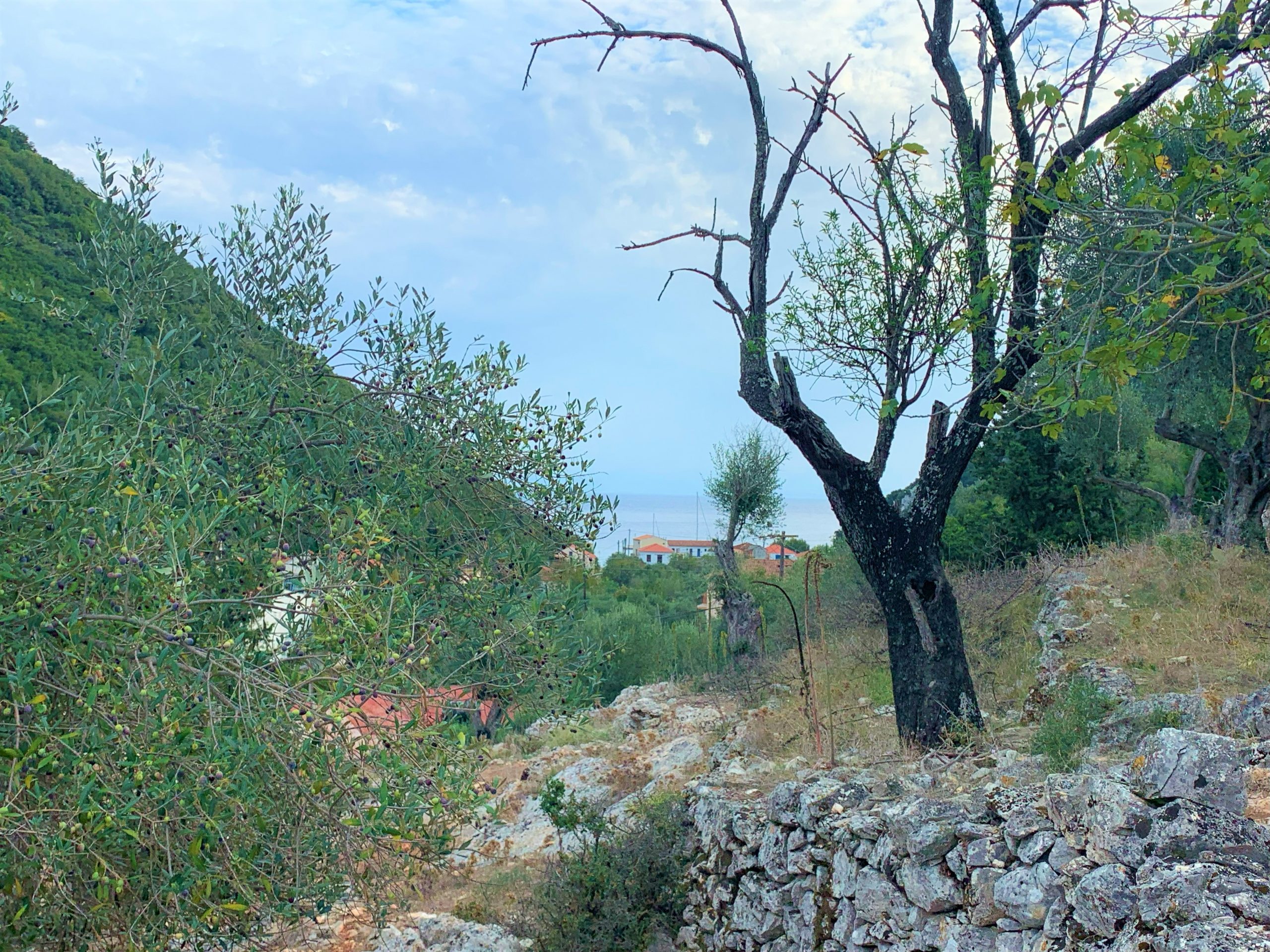 Views from house and land from sale in Ithaca Greece Frikes